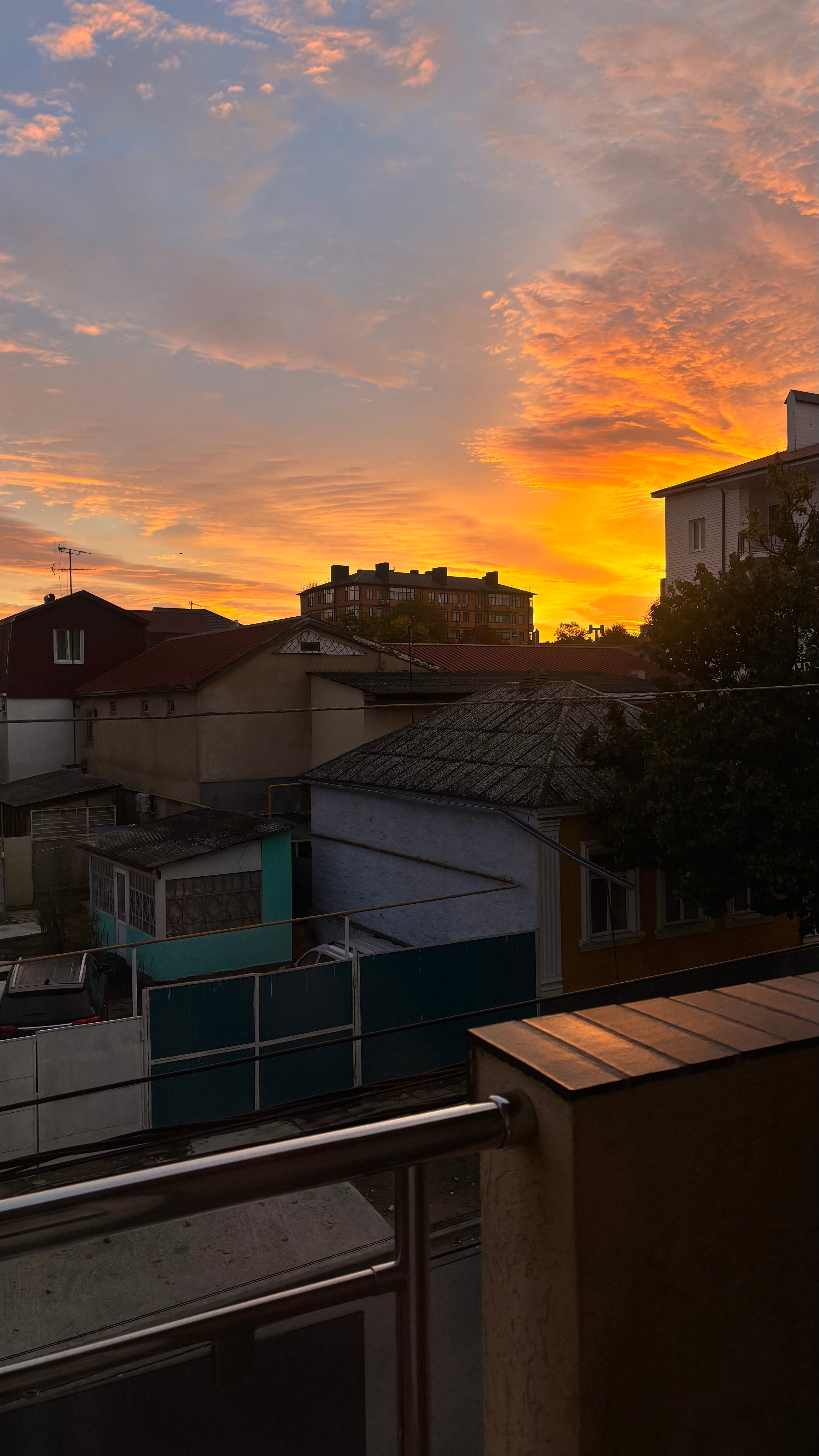 Фото Милотел