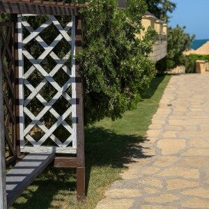 Фото Ассорти