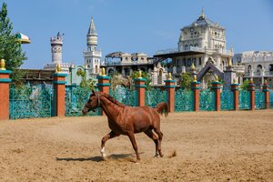 Иное жильё Падишах