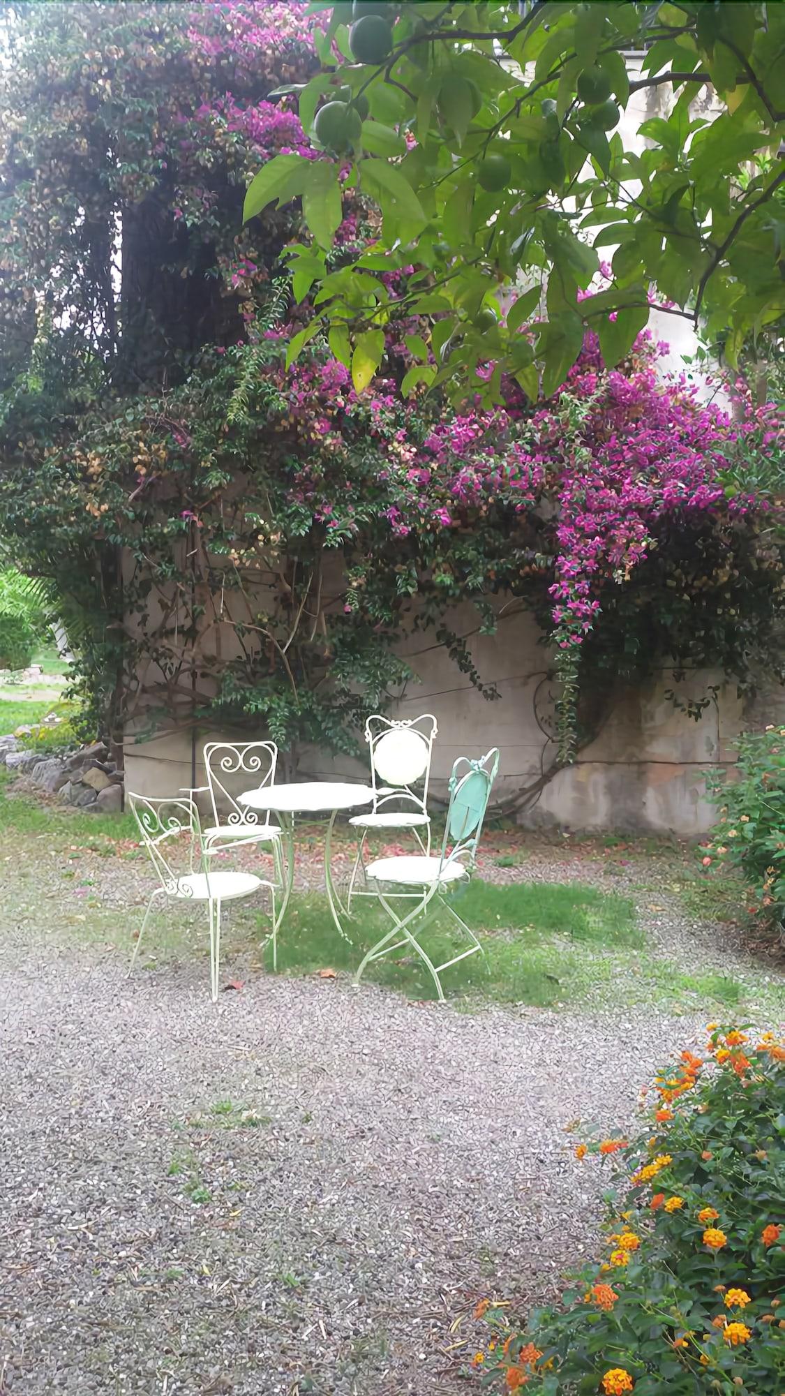 Фото Hotel del Sole al Plebiscito