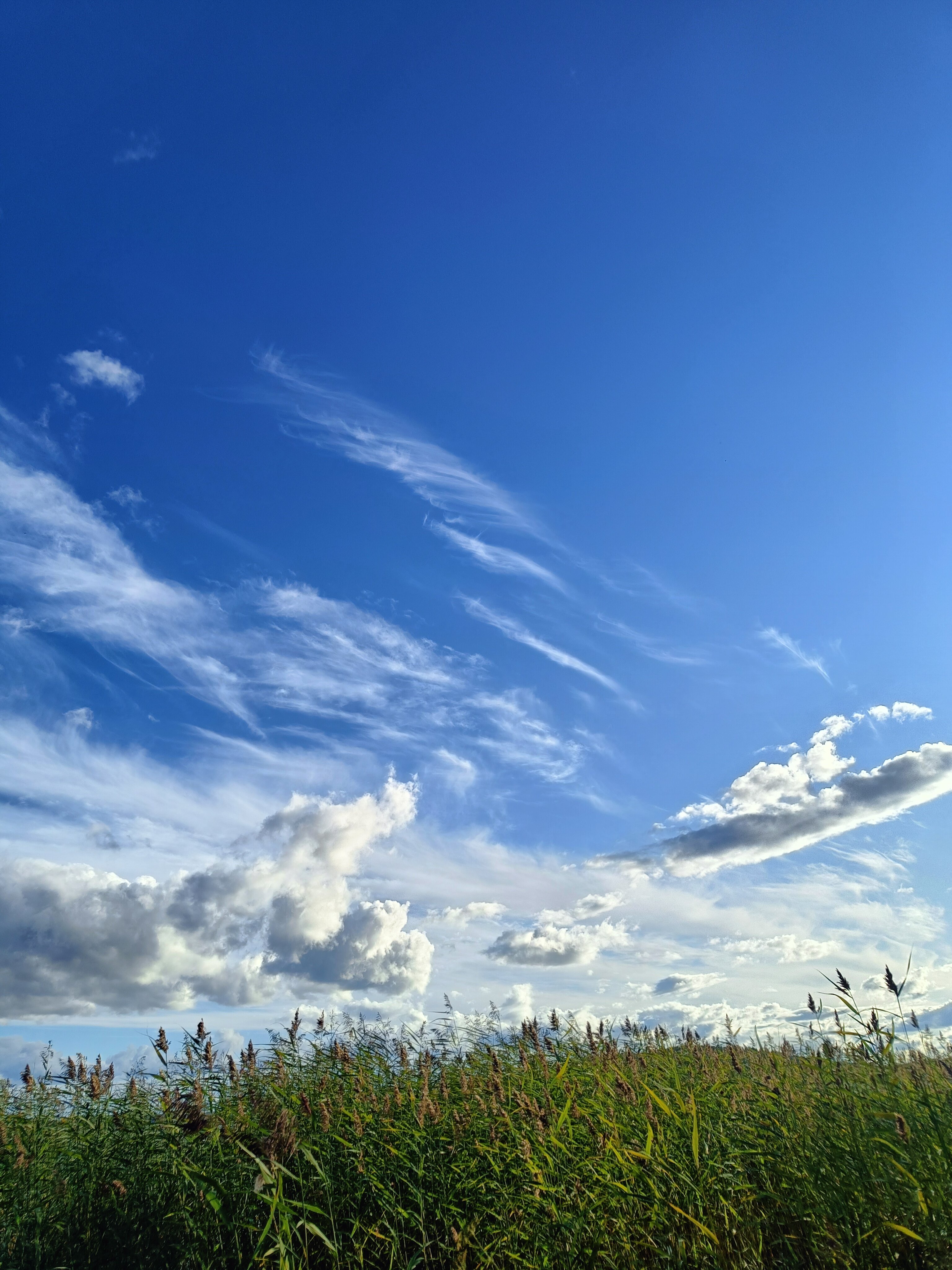 Фото Уютные дома в Карелии