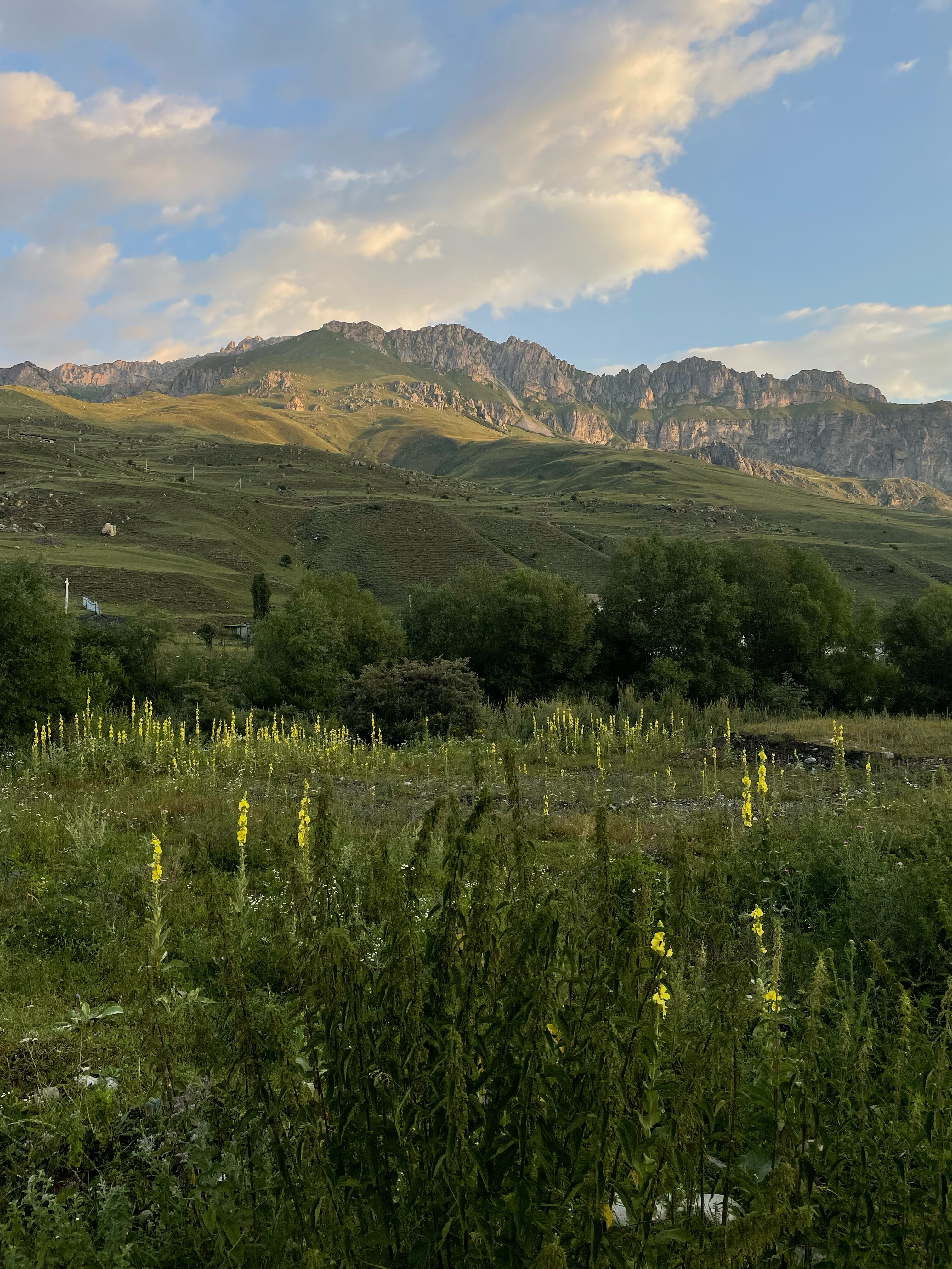 Фото Фиагдон Хауз