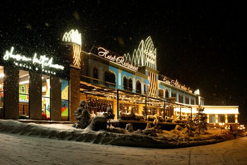 Гостиница Алтай Пэлас в Алтайском крае