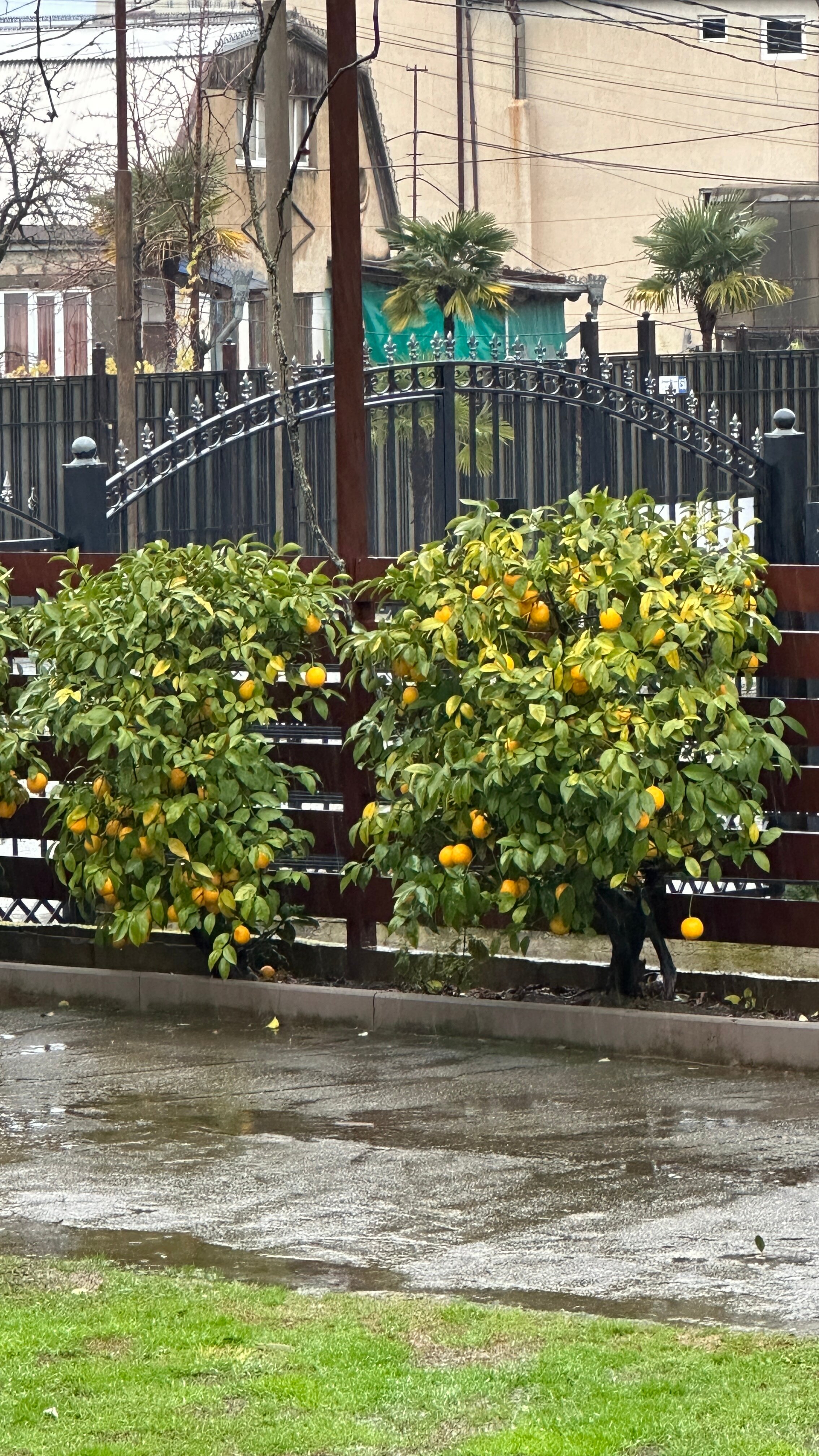 Фото Домики у Ксюши