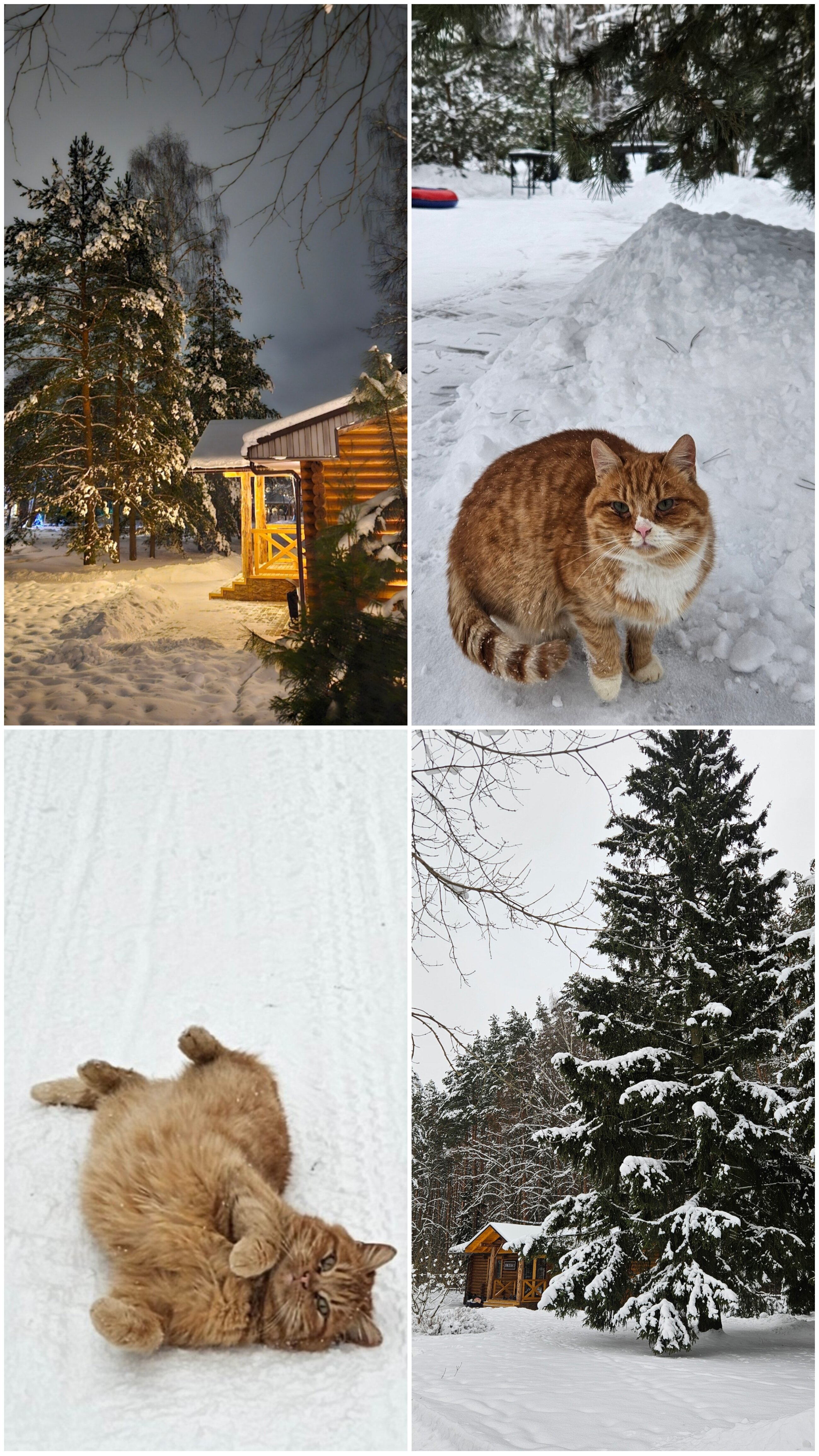 Фото LaFA