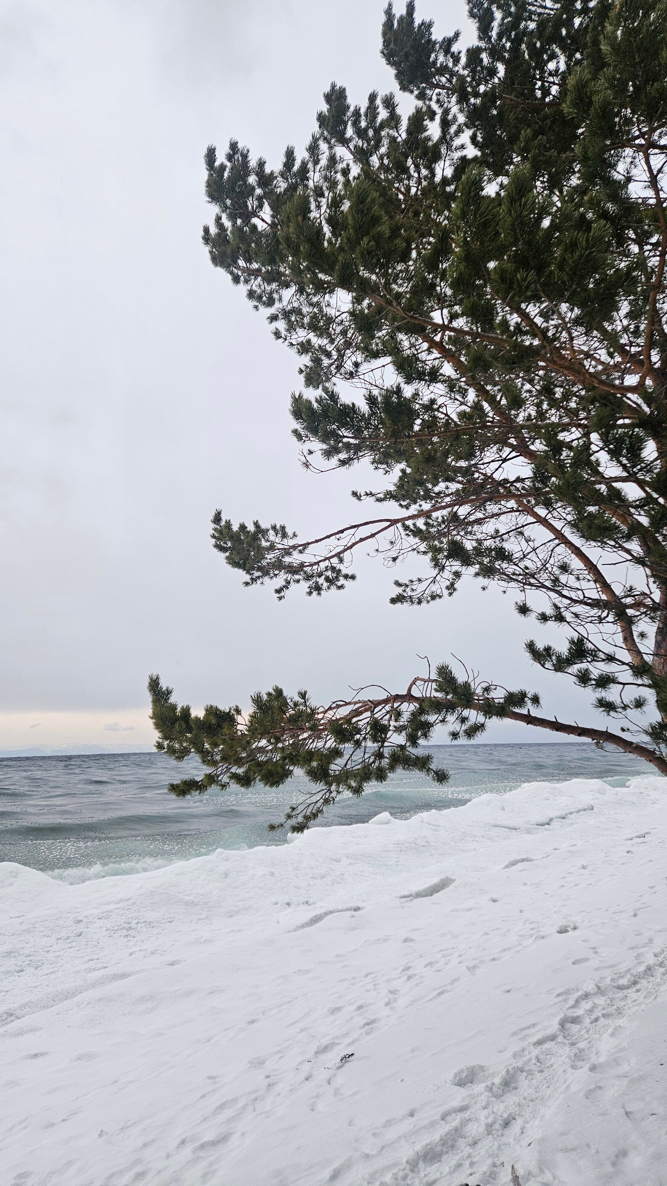 Фото Экопарк Танхой