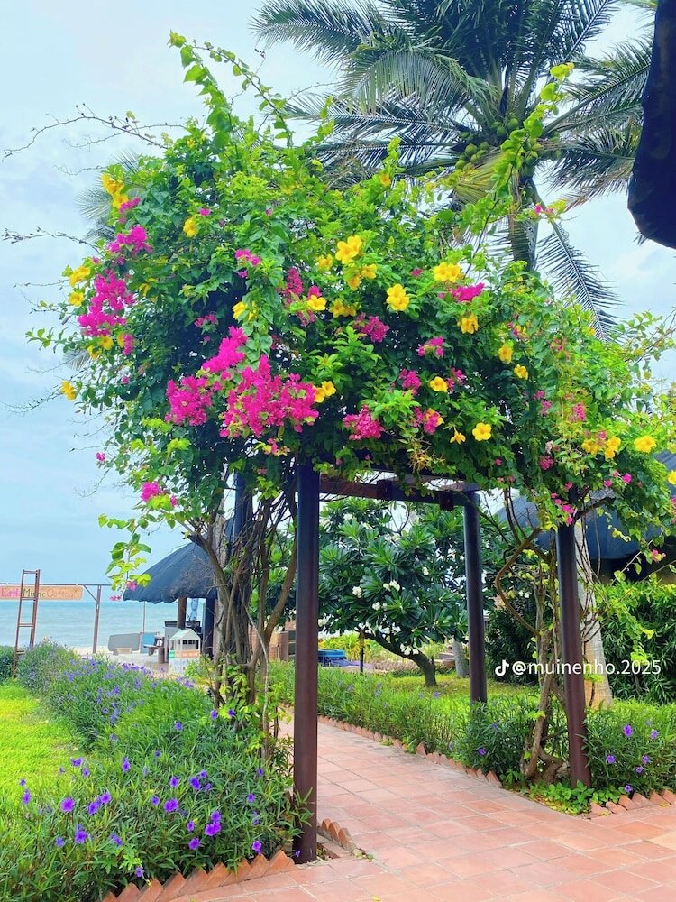 Фото Little Mũi Né Cottages Resort