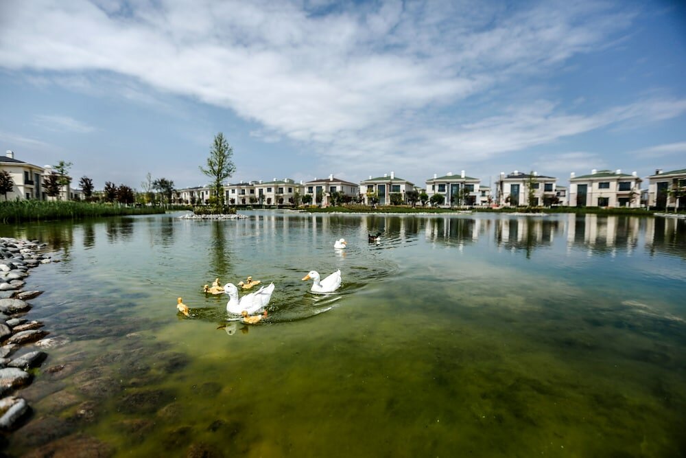 Фото Dreamland Golf Hotel 