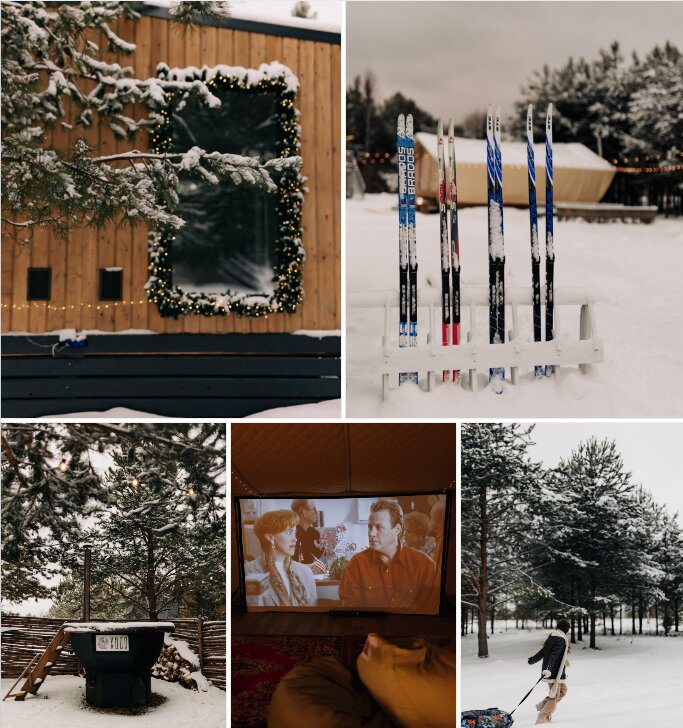 Фото Хвоя
