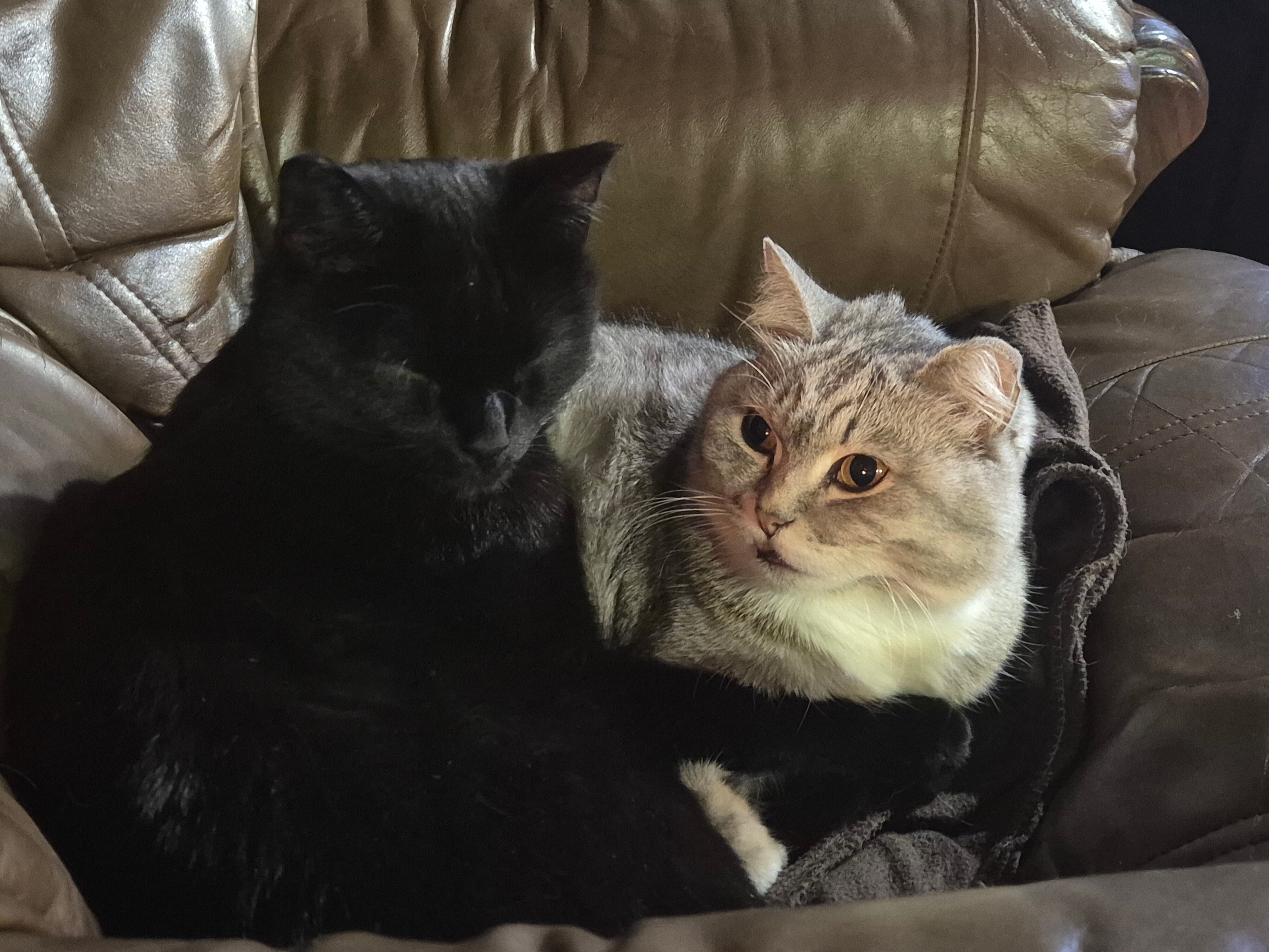 Фото Зель-Диего