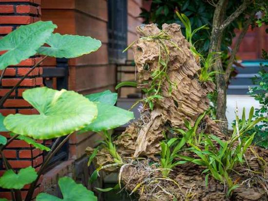 Фото Betel Garden Villas