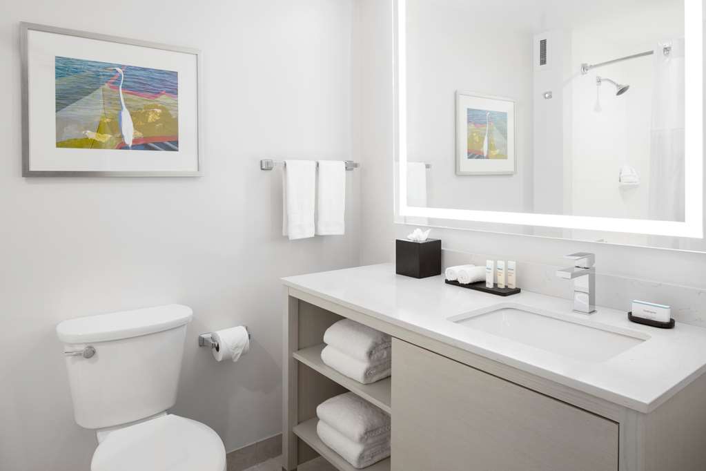 Фото Embassy Suites by Hilton Tampa Airport Westshore