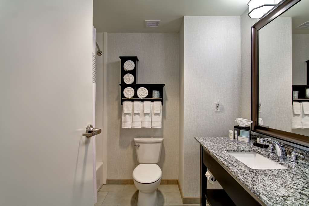Фото Hampton Inn & Suites Cincinnati-Downtown