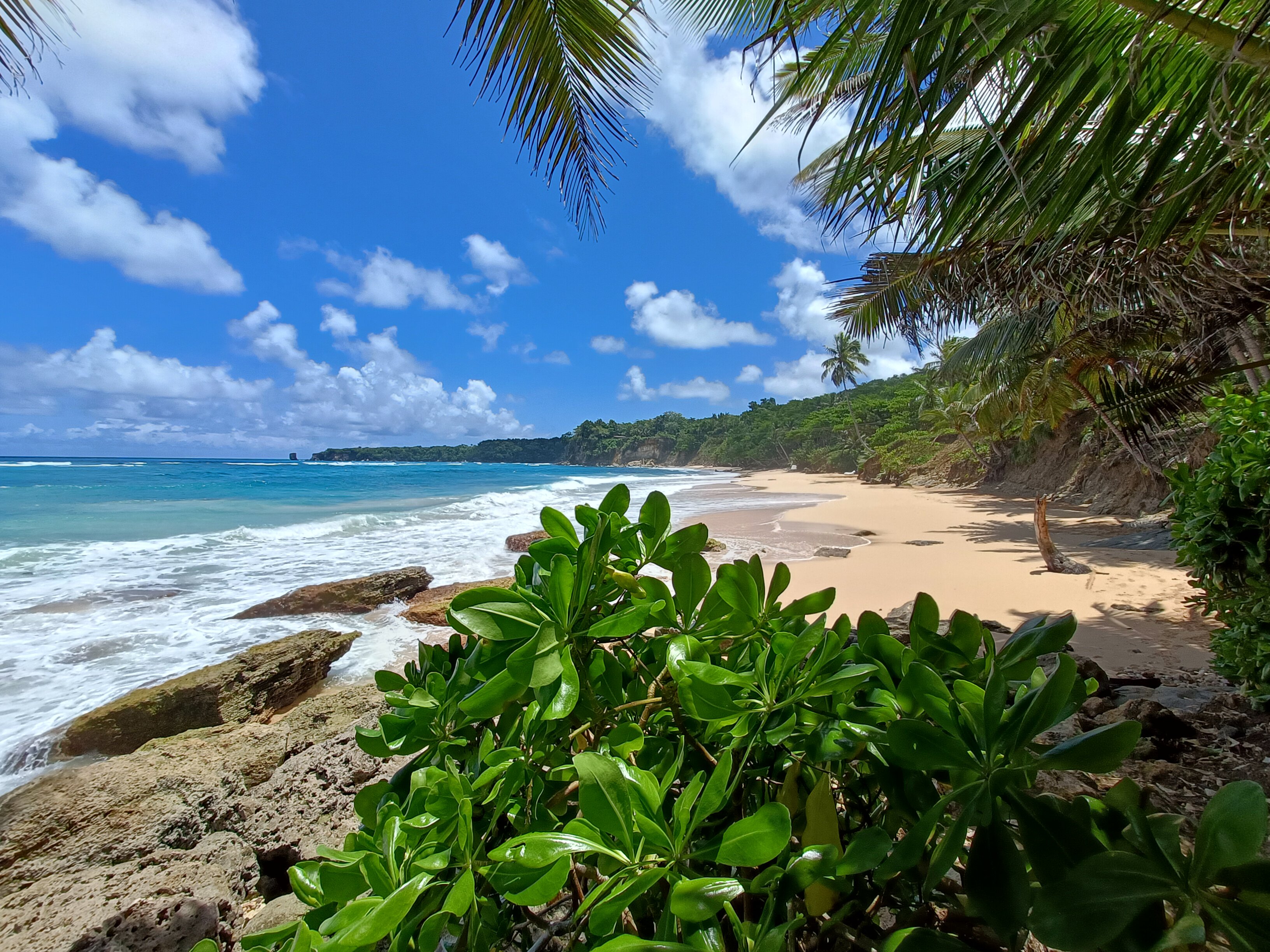 Фото Viva Tangerine by Wyndham, A Trademark All Inclusive