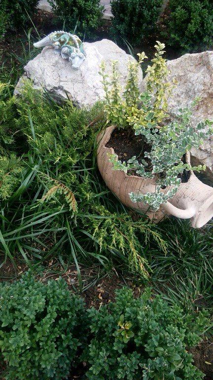 Фото Гриновские Берега