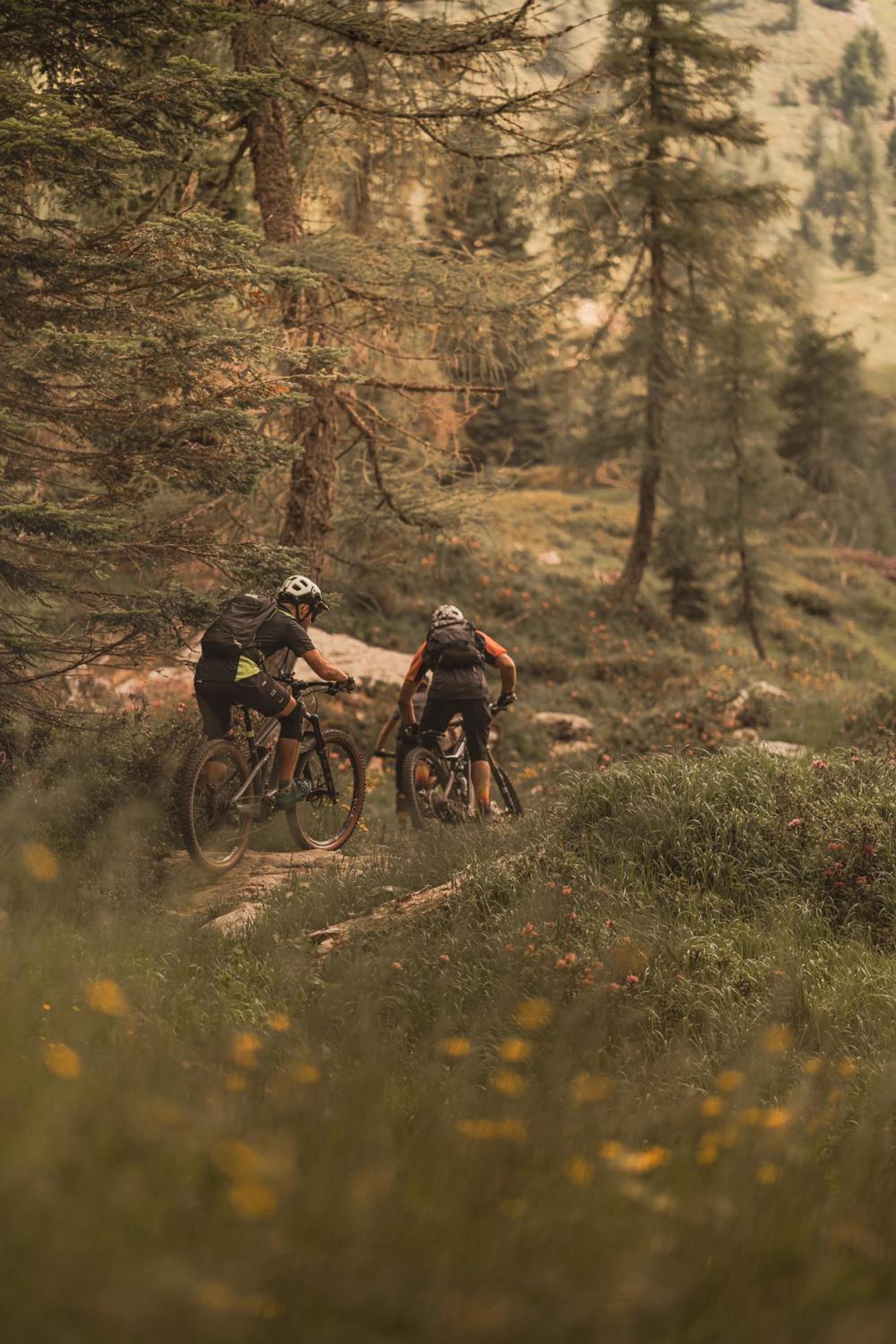 Фото Cristallo Sport & Wellness