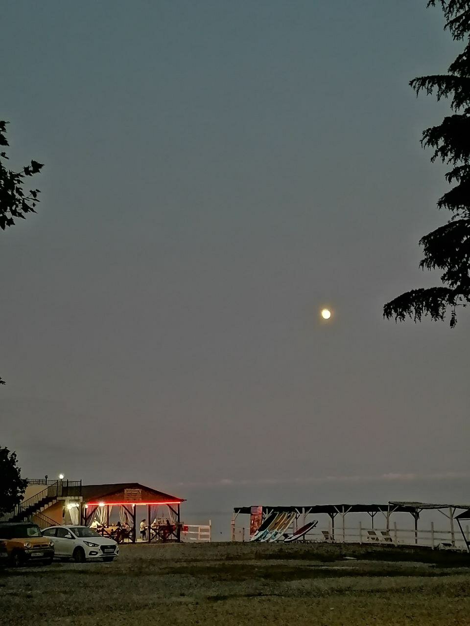 Фото Три Тополя