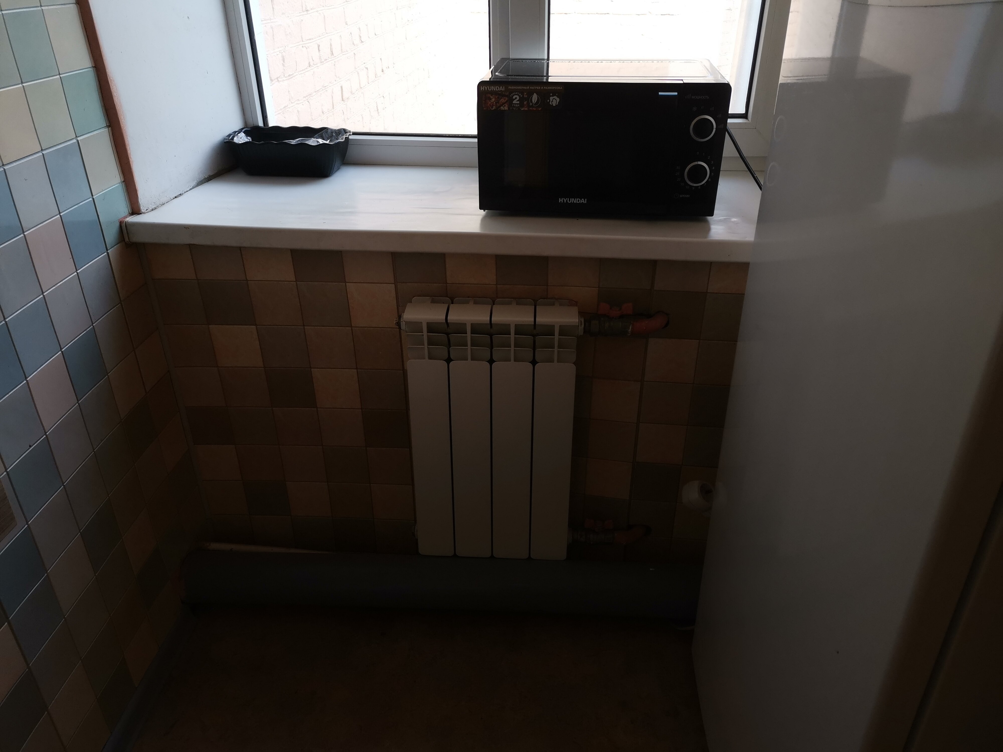 Фото Апельсин