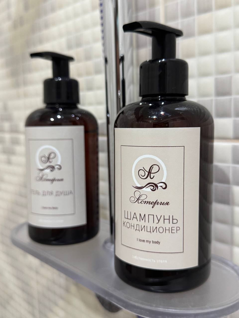 Фото Астерия