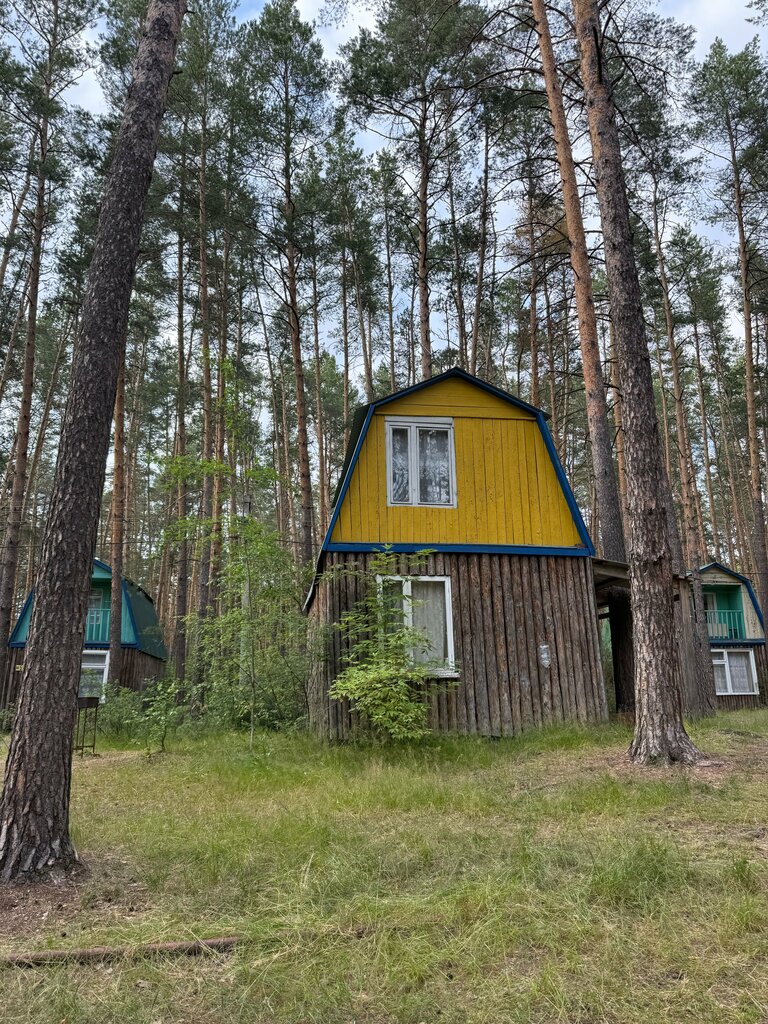 Summer camp Спортивно-оздоровительный лагерь Политехник Поволжского государственного технологического университета, Mari El Republic, photo