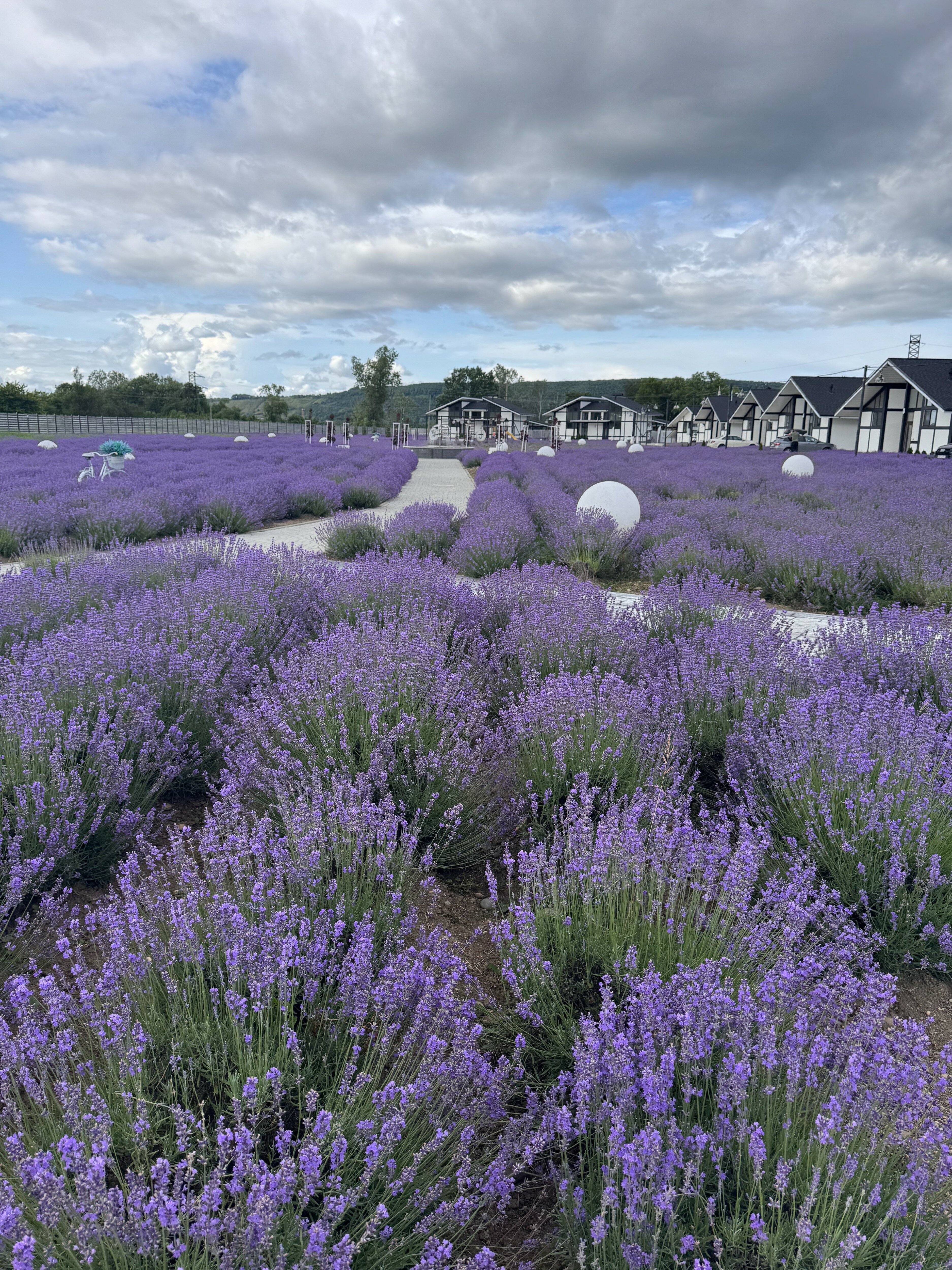 Фото Red Bridge Resort relax&spa