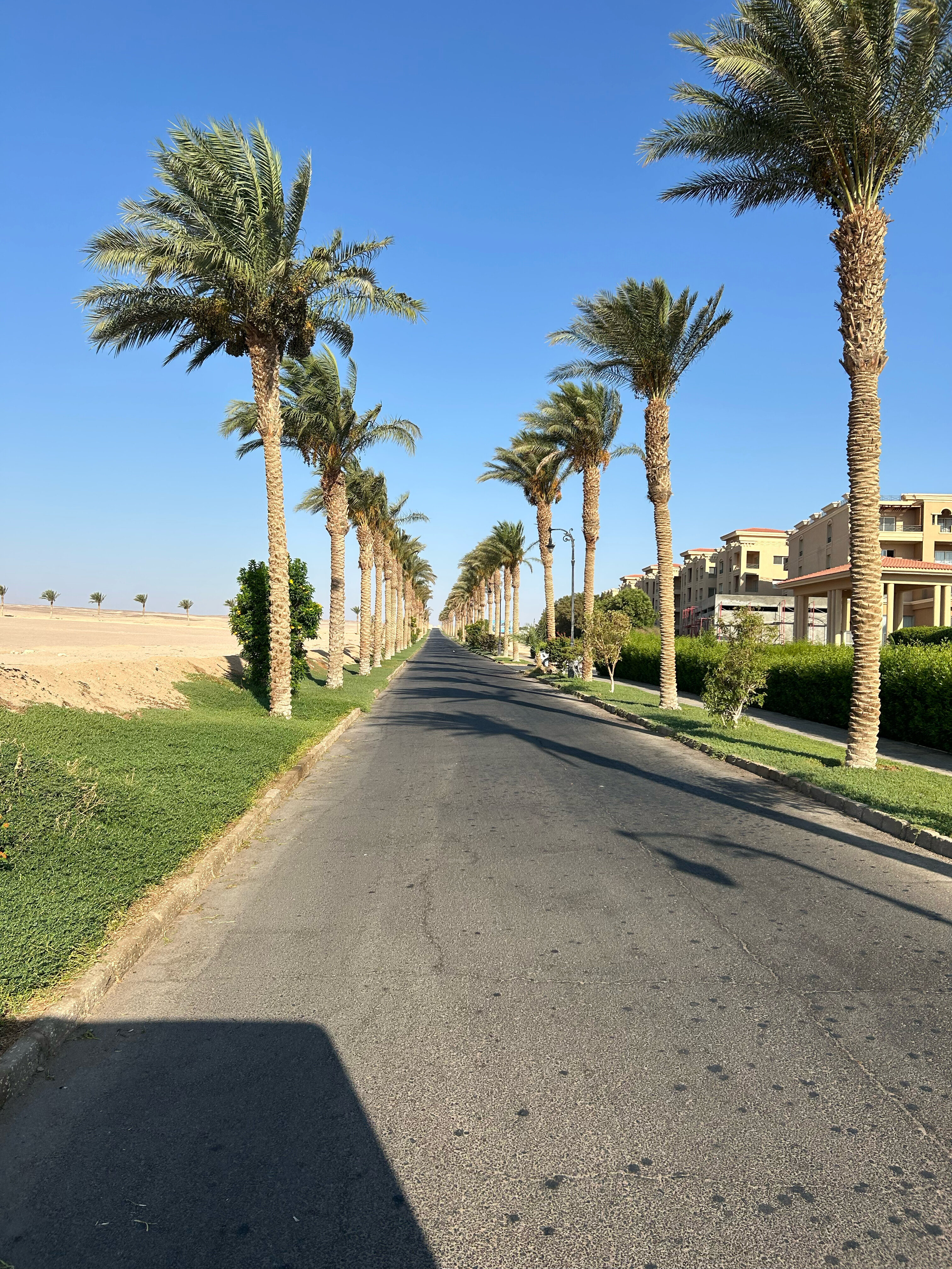 Фото Flow Spectrum Resort Sahl Hasheesh