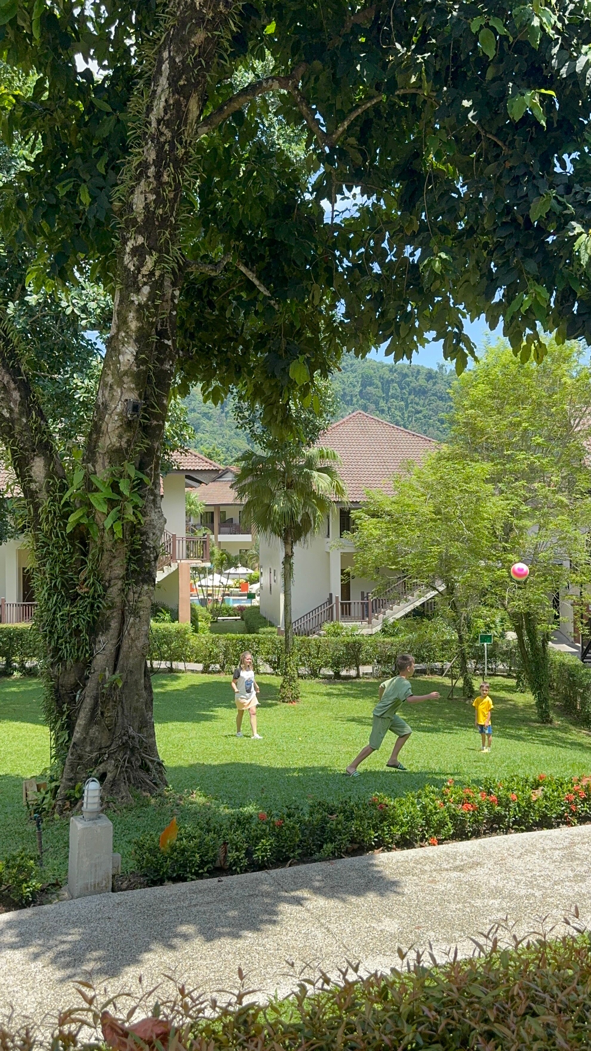 Фото The Leaf Oceanside