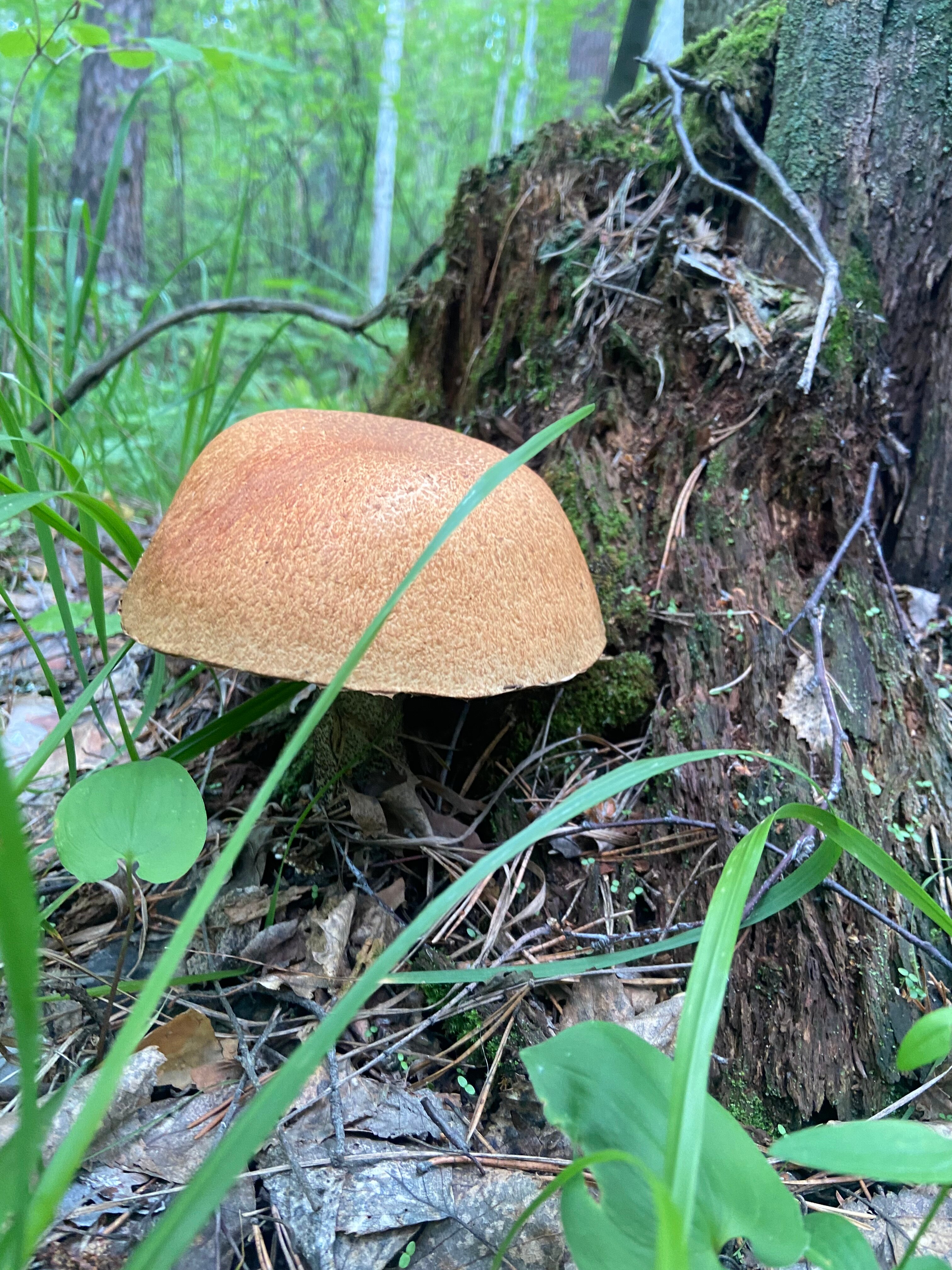 Фото Тихие зори