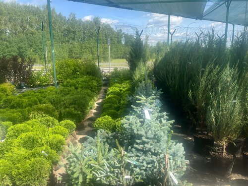 Атақты адамдардың ең жаңа порно фейктері