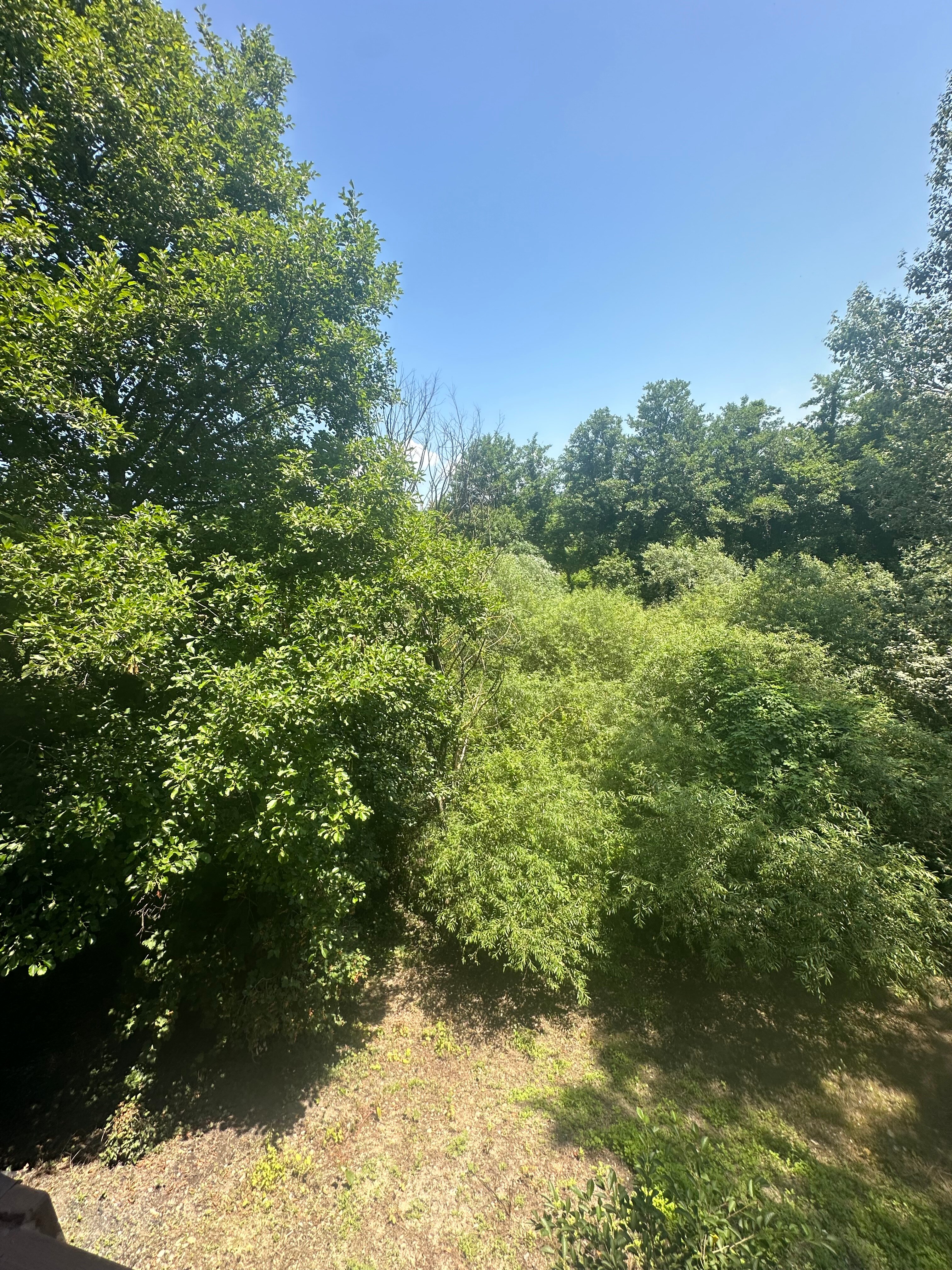 Фото У реки