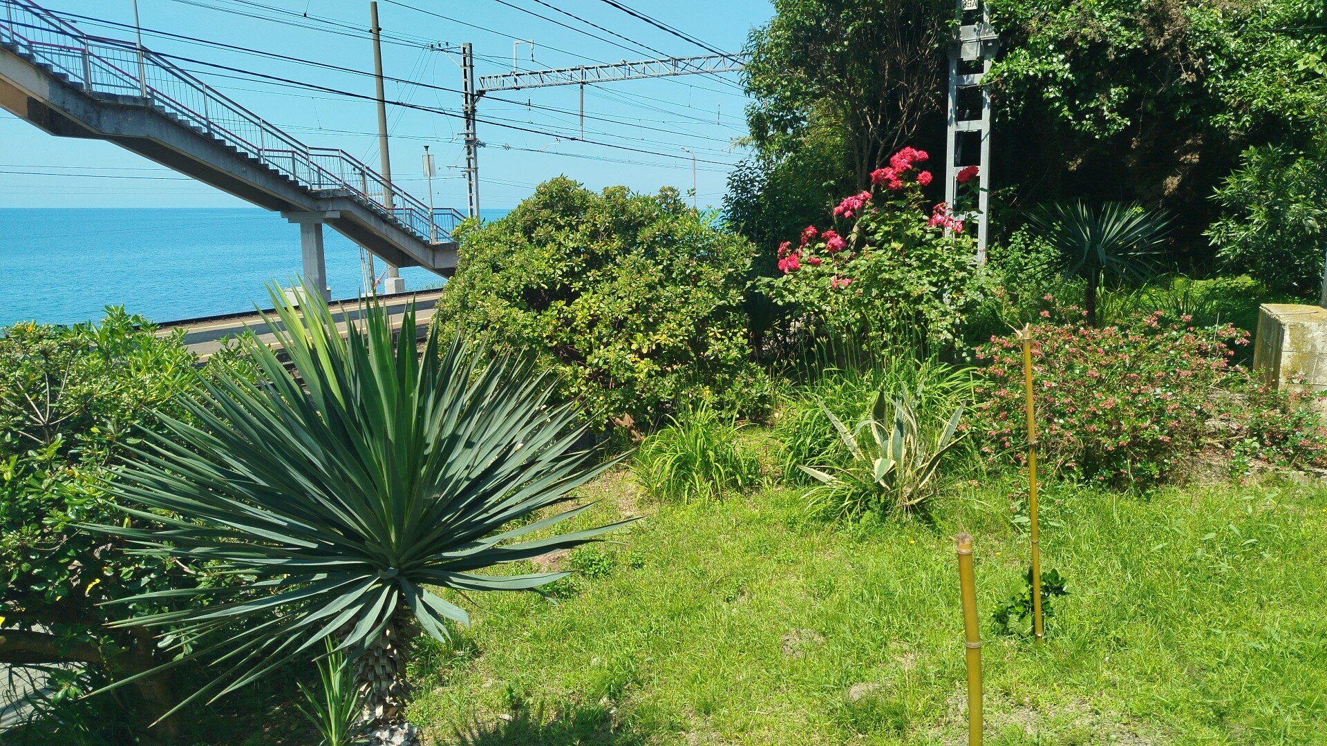 Фото Anchor Villa