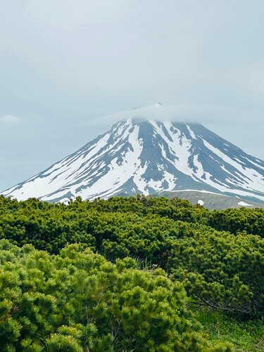 Дәретханада порно қоймасы бар