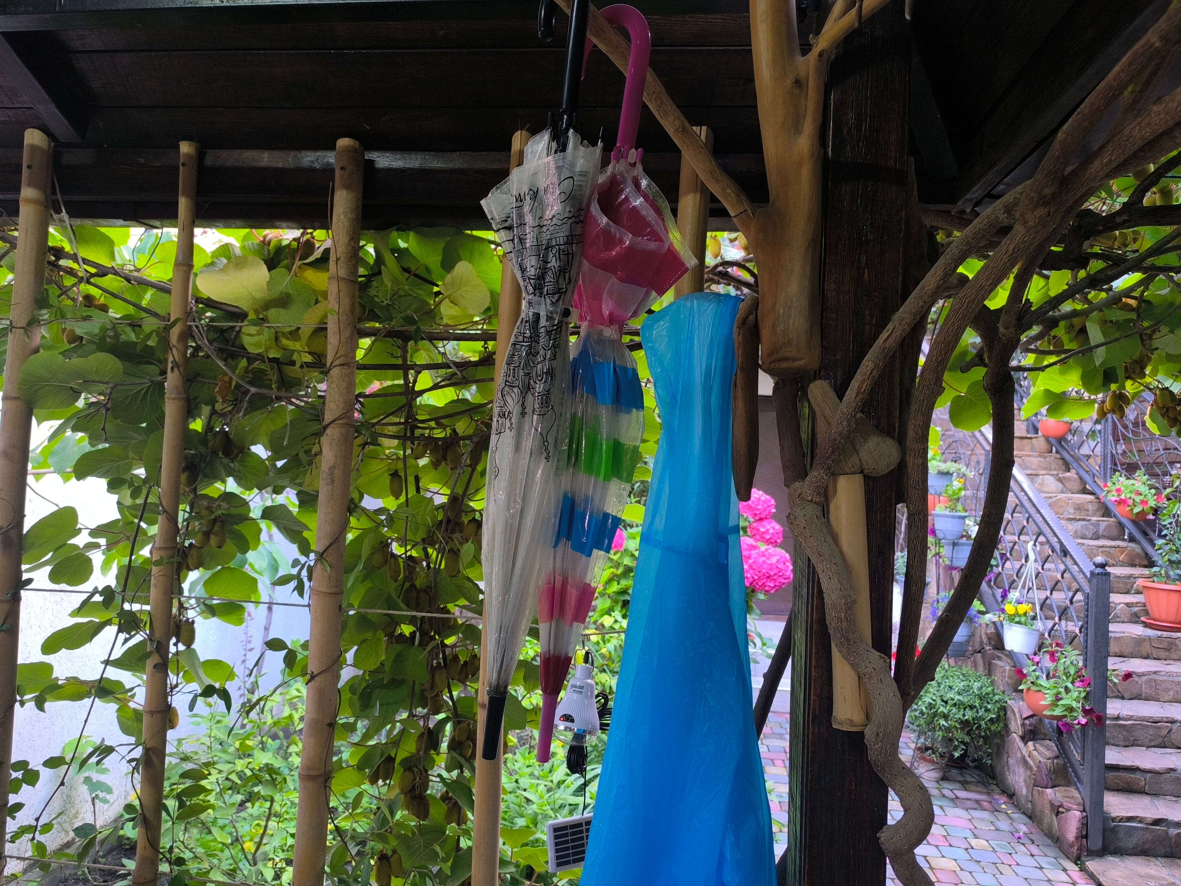 Фото Гостевой дом Гера