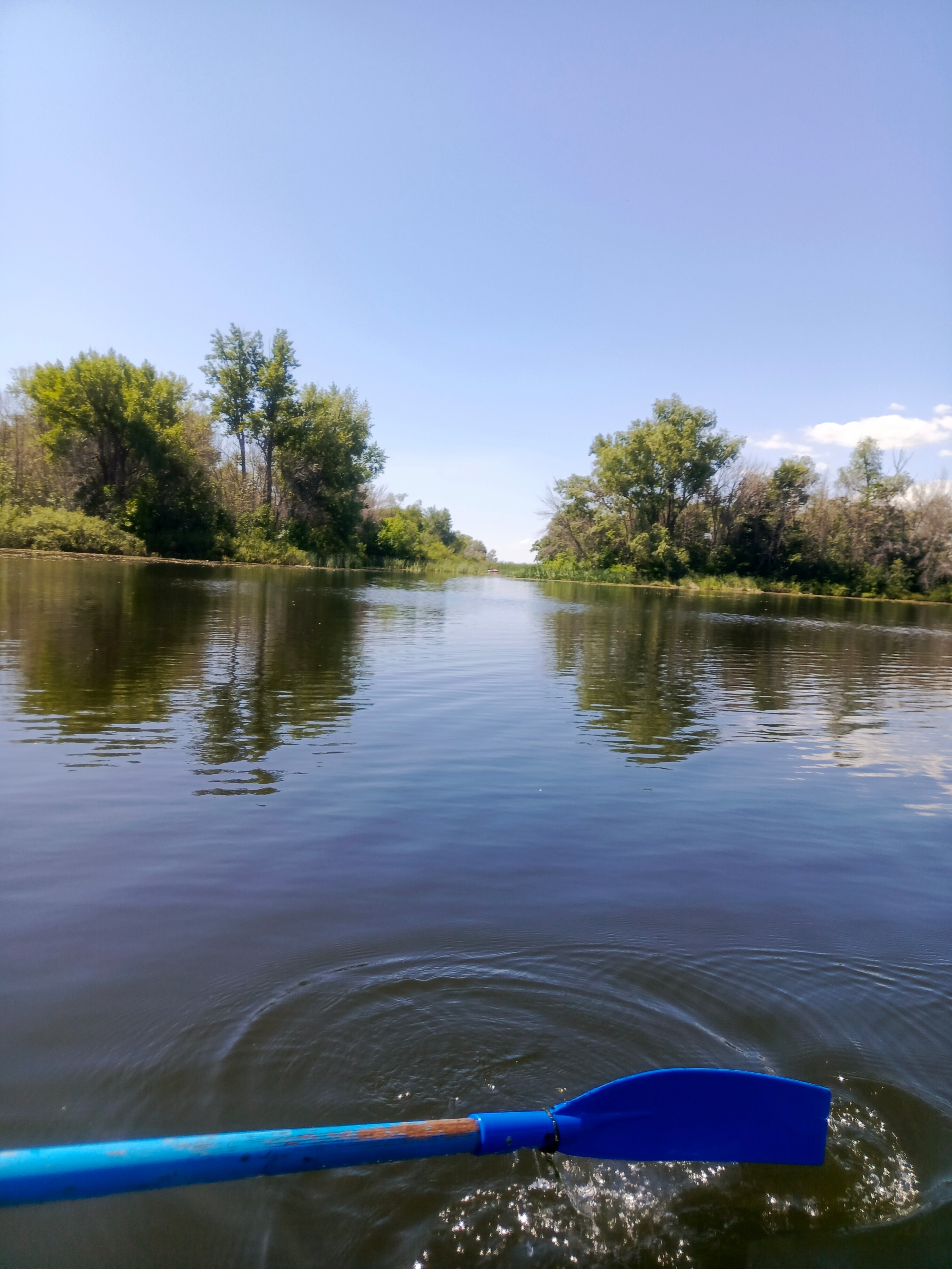 Фото Спектр