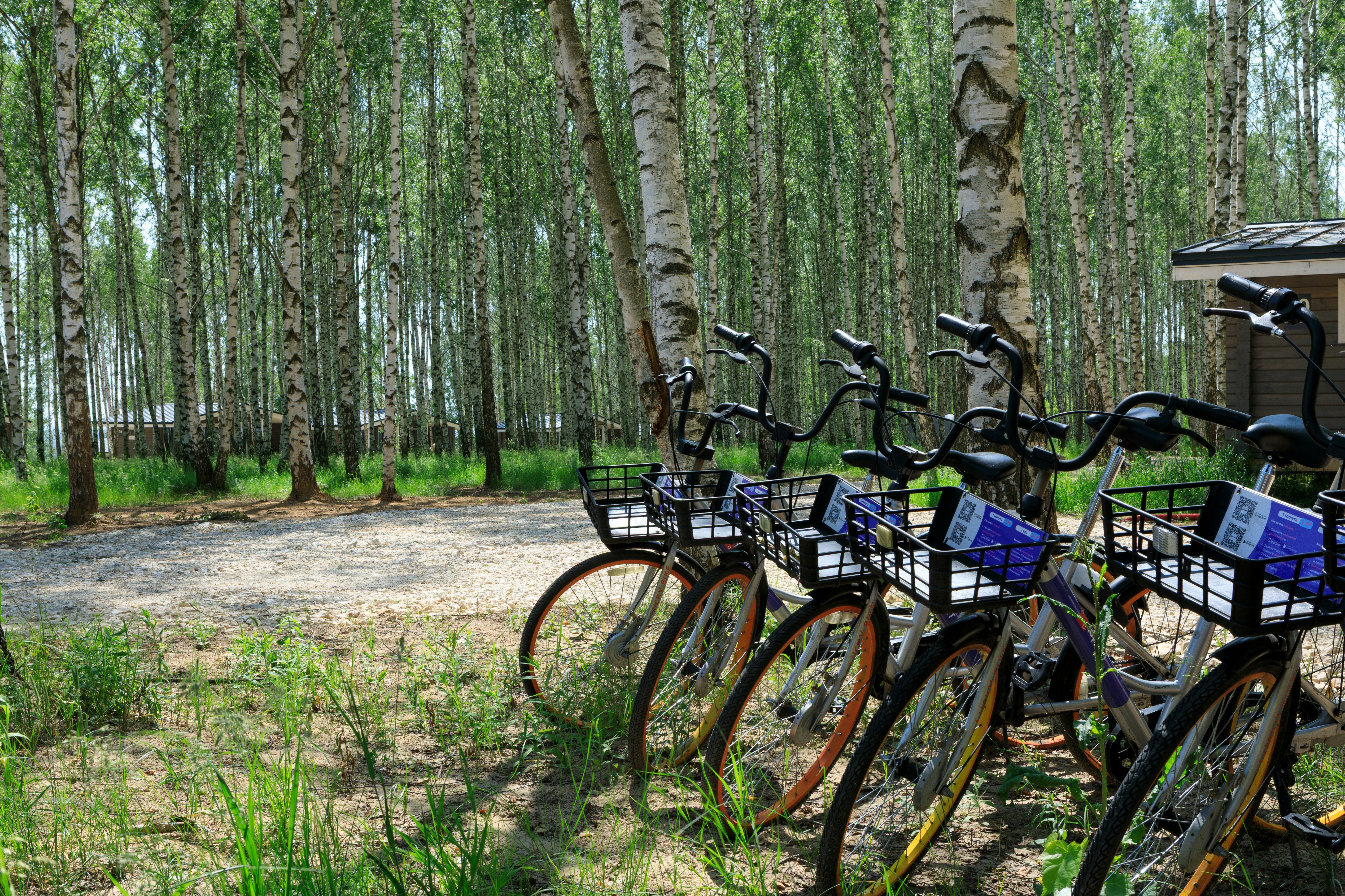 Фото Norke Есенинская Русь