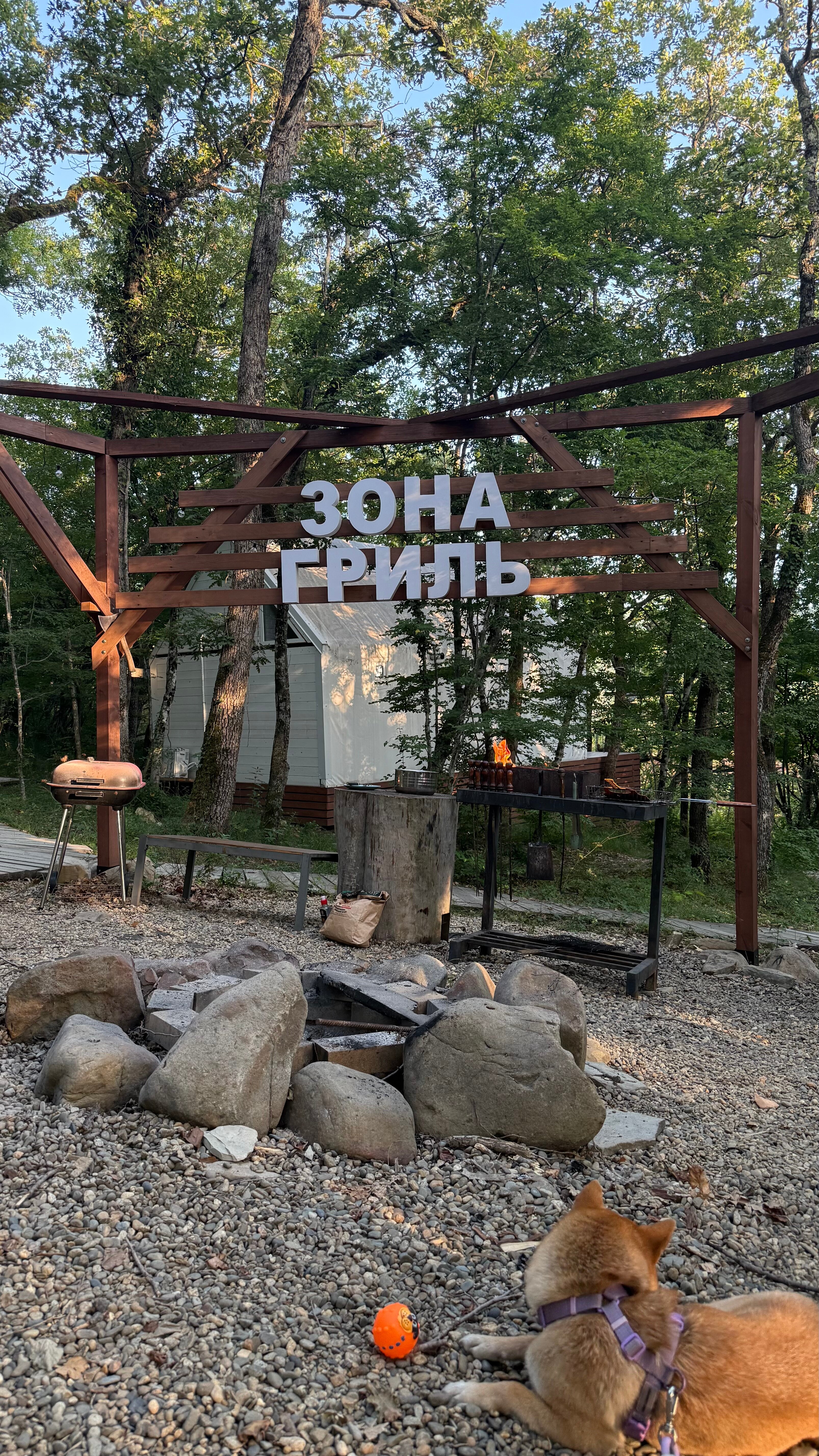 Фото Горный Енот