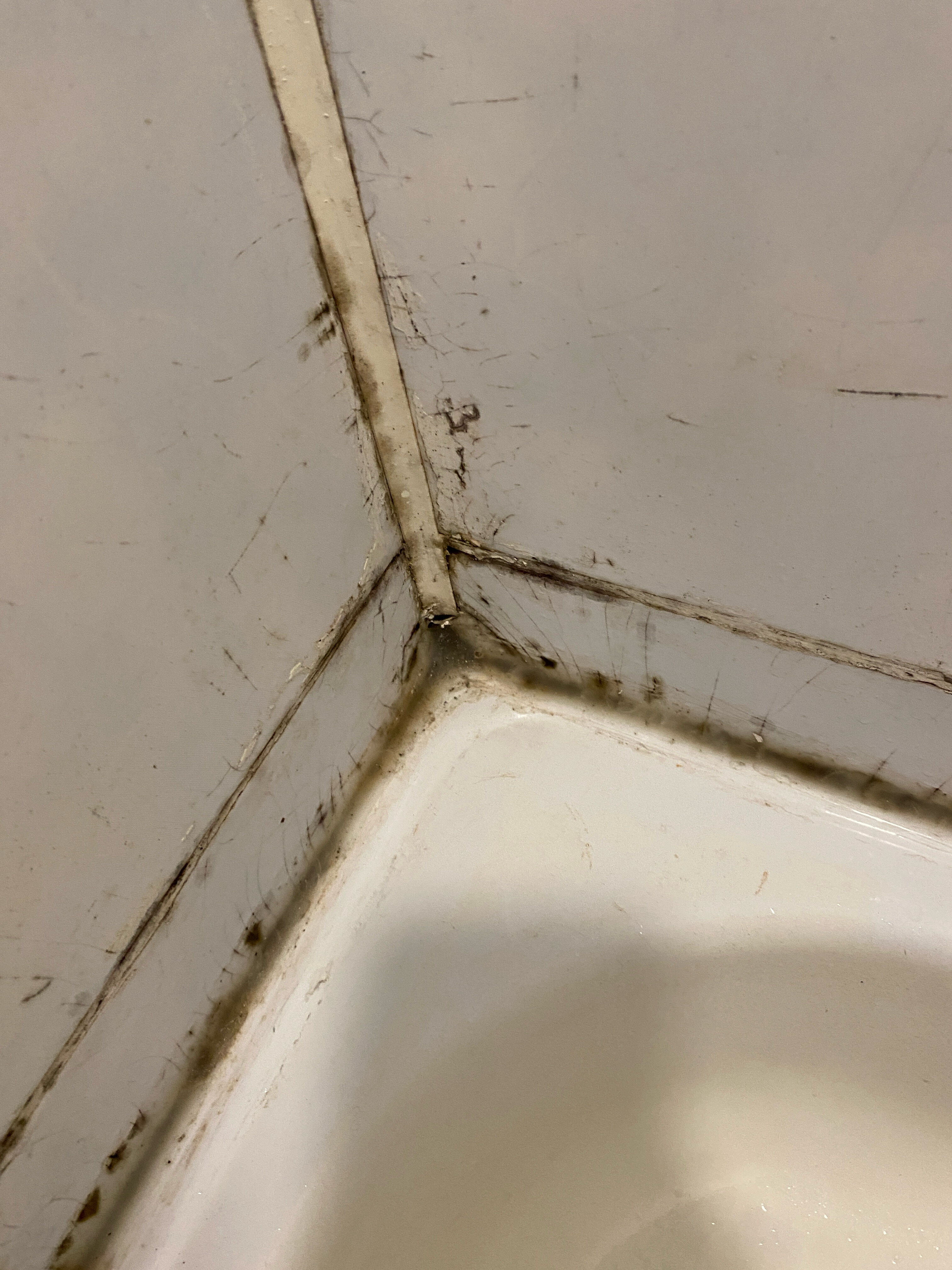 Фото Mega Hotel Gagra