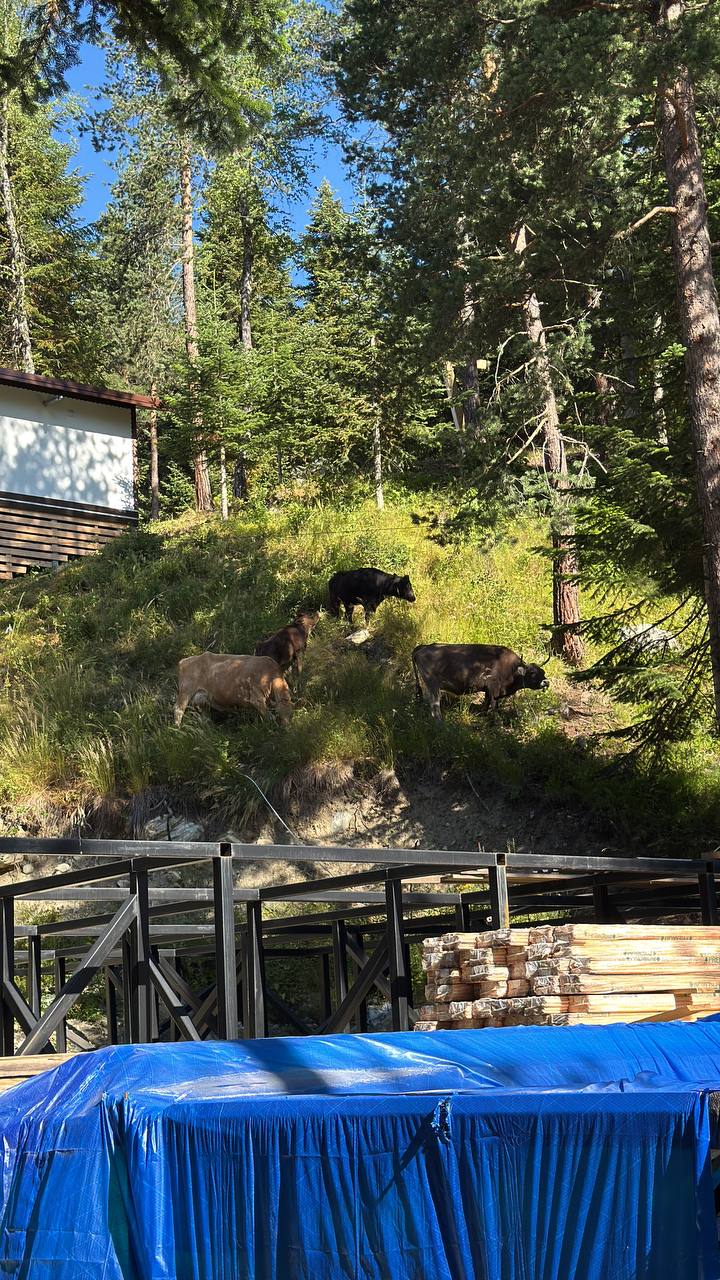 Фото Gorskiy Club