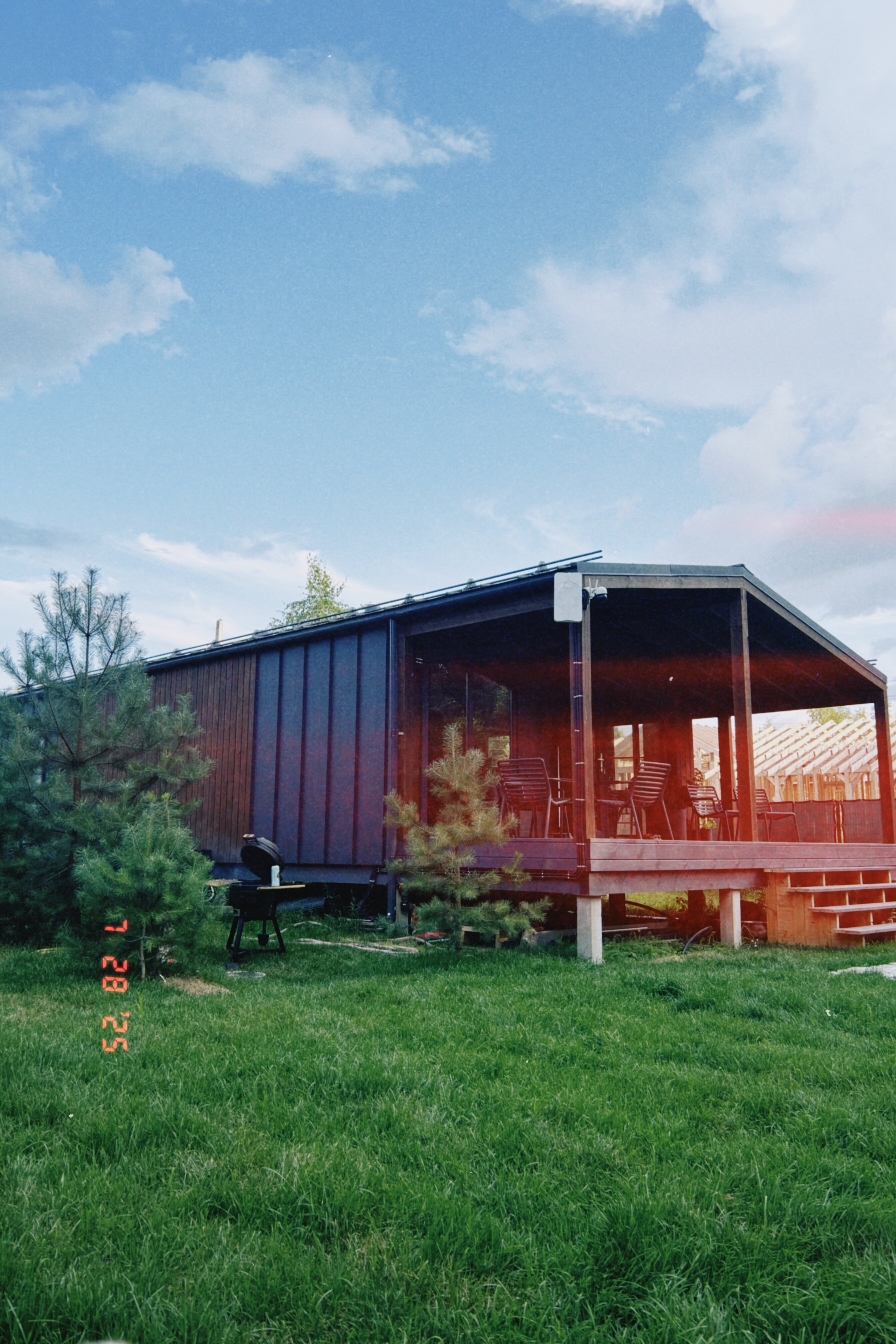 Фото Листья