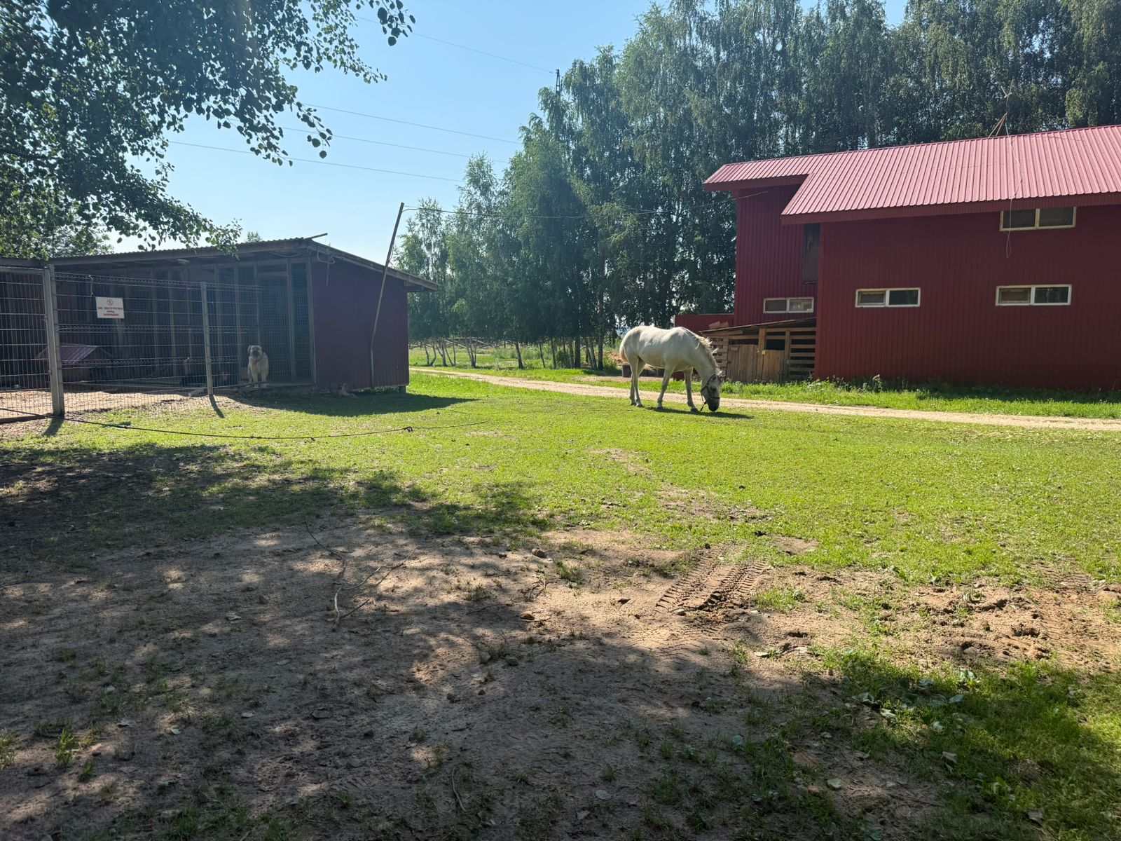 Фото Экстримлэнд