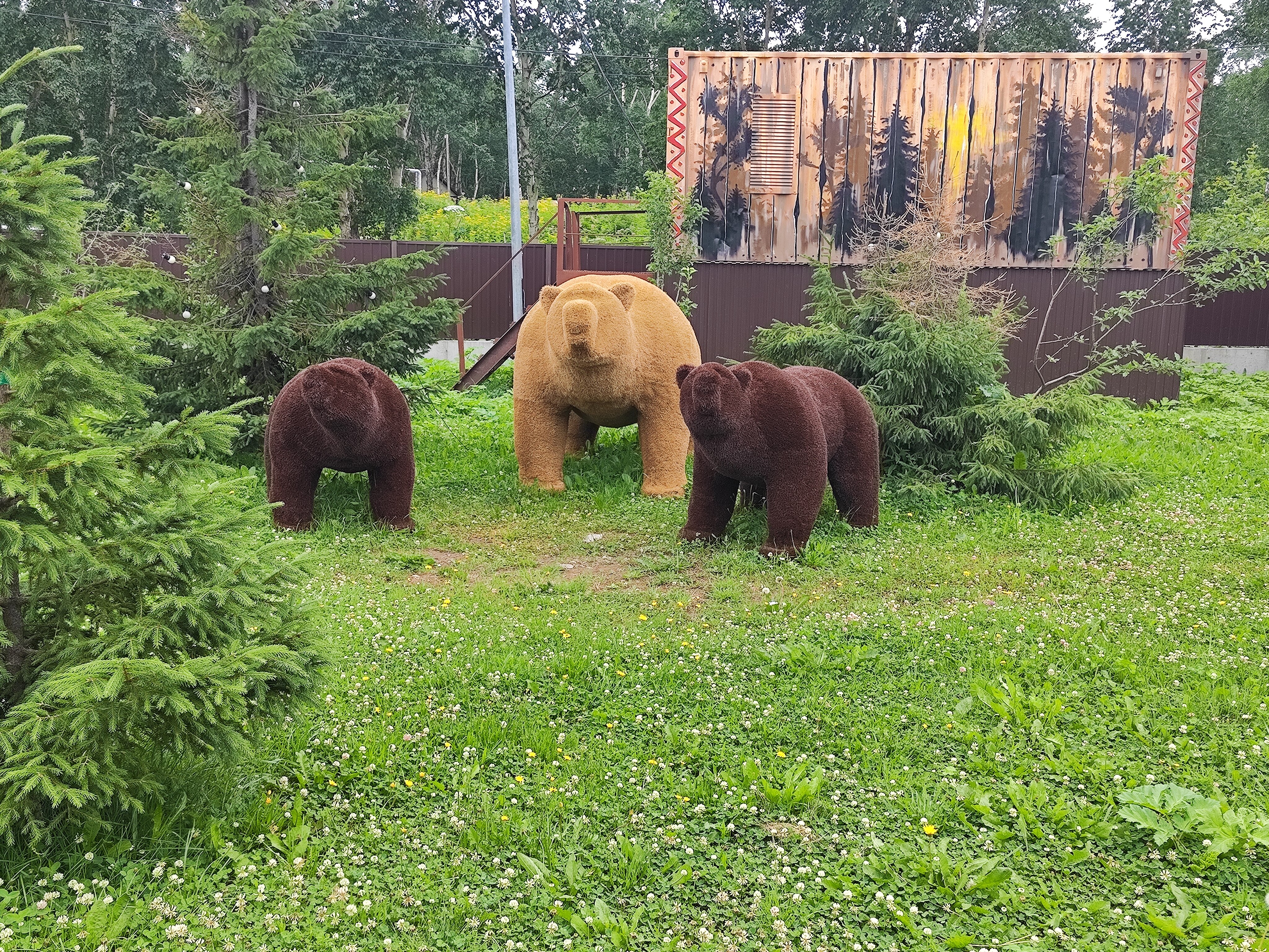 Фото Лесная поляна