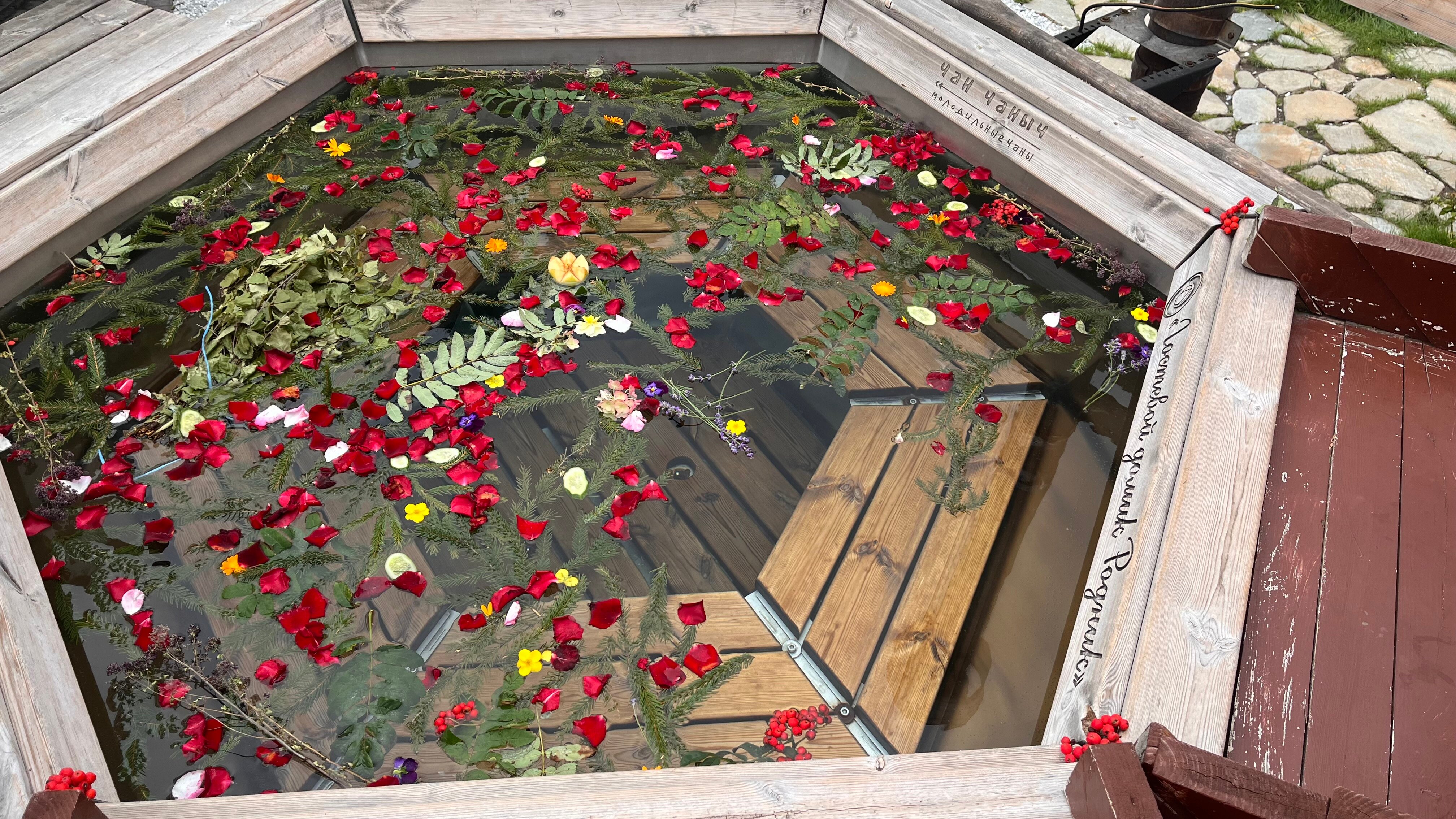 Фото Родник