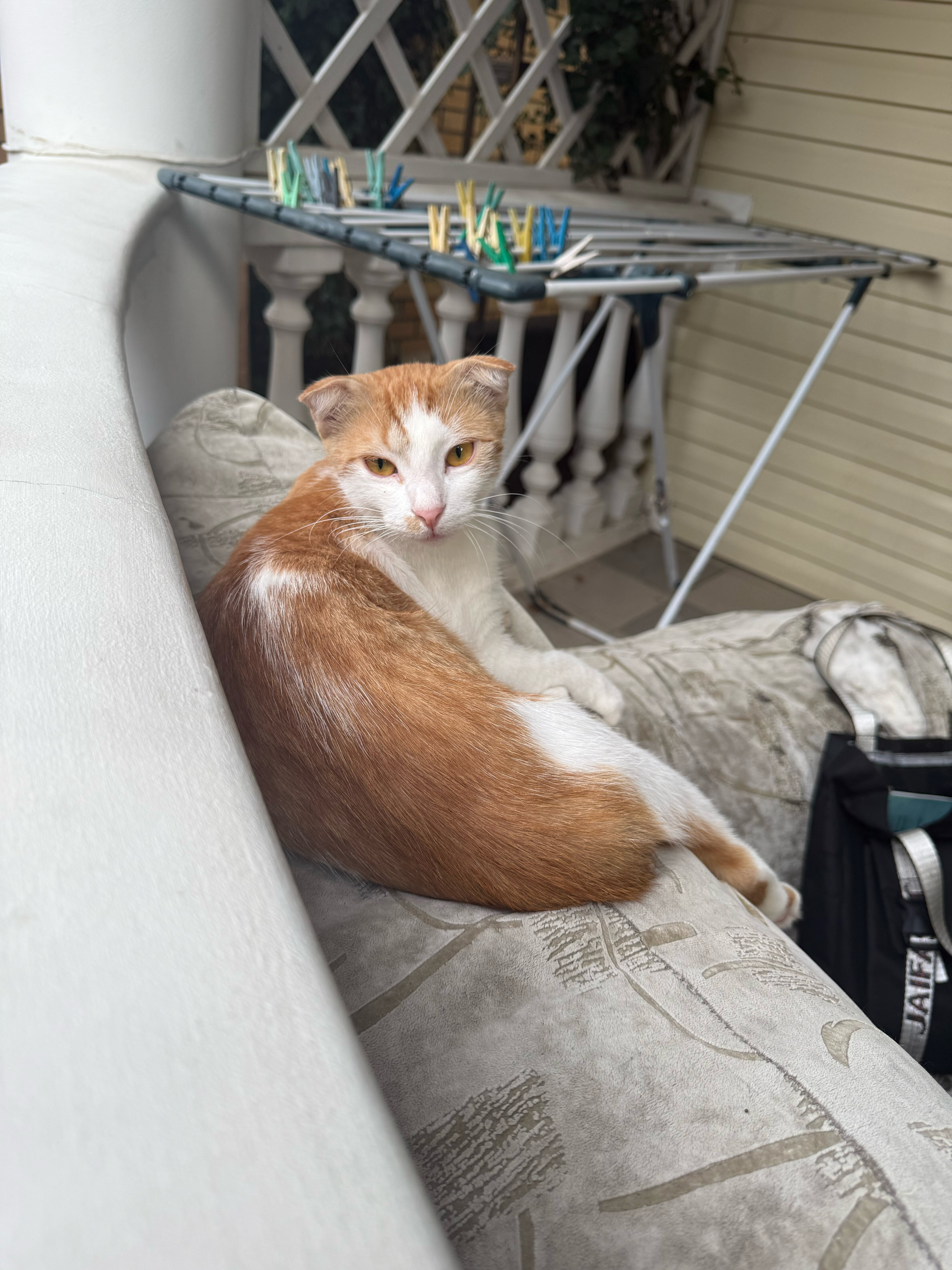 Фото Южный Рай