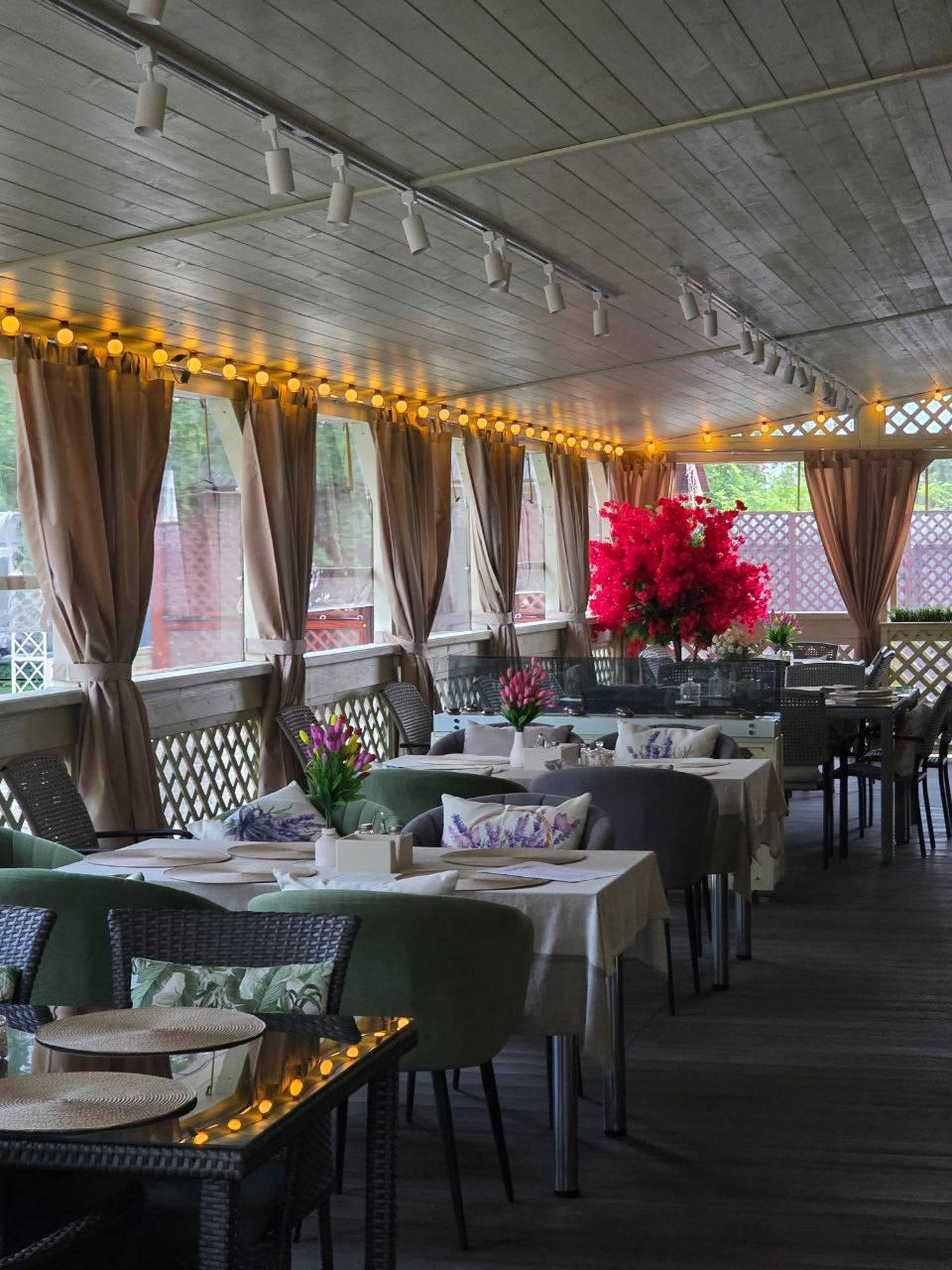 Фото Две берёзки