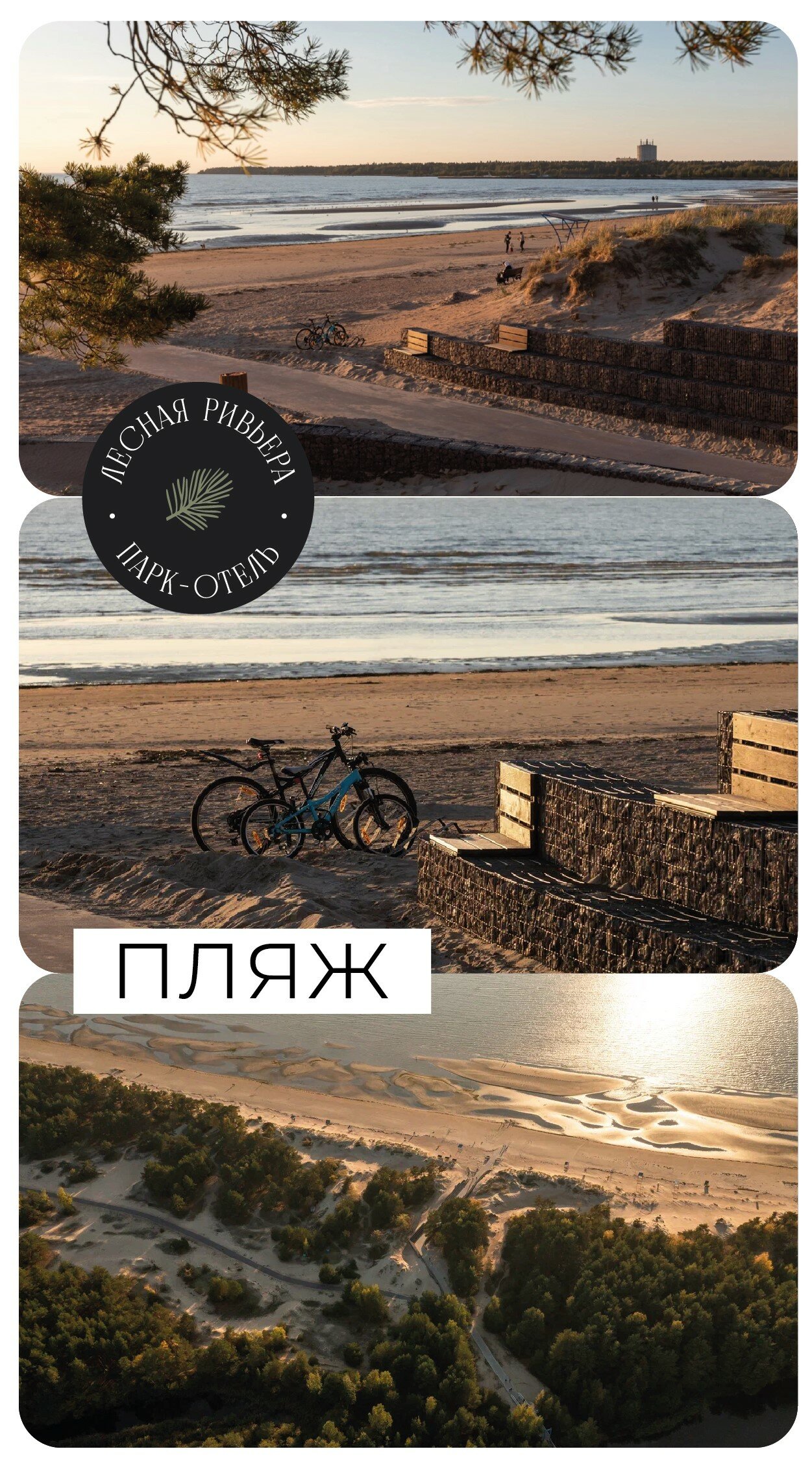 Фото Лесная Ривьера