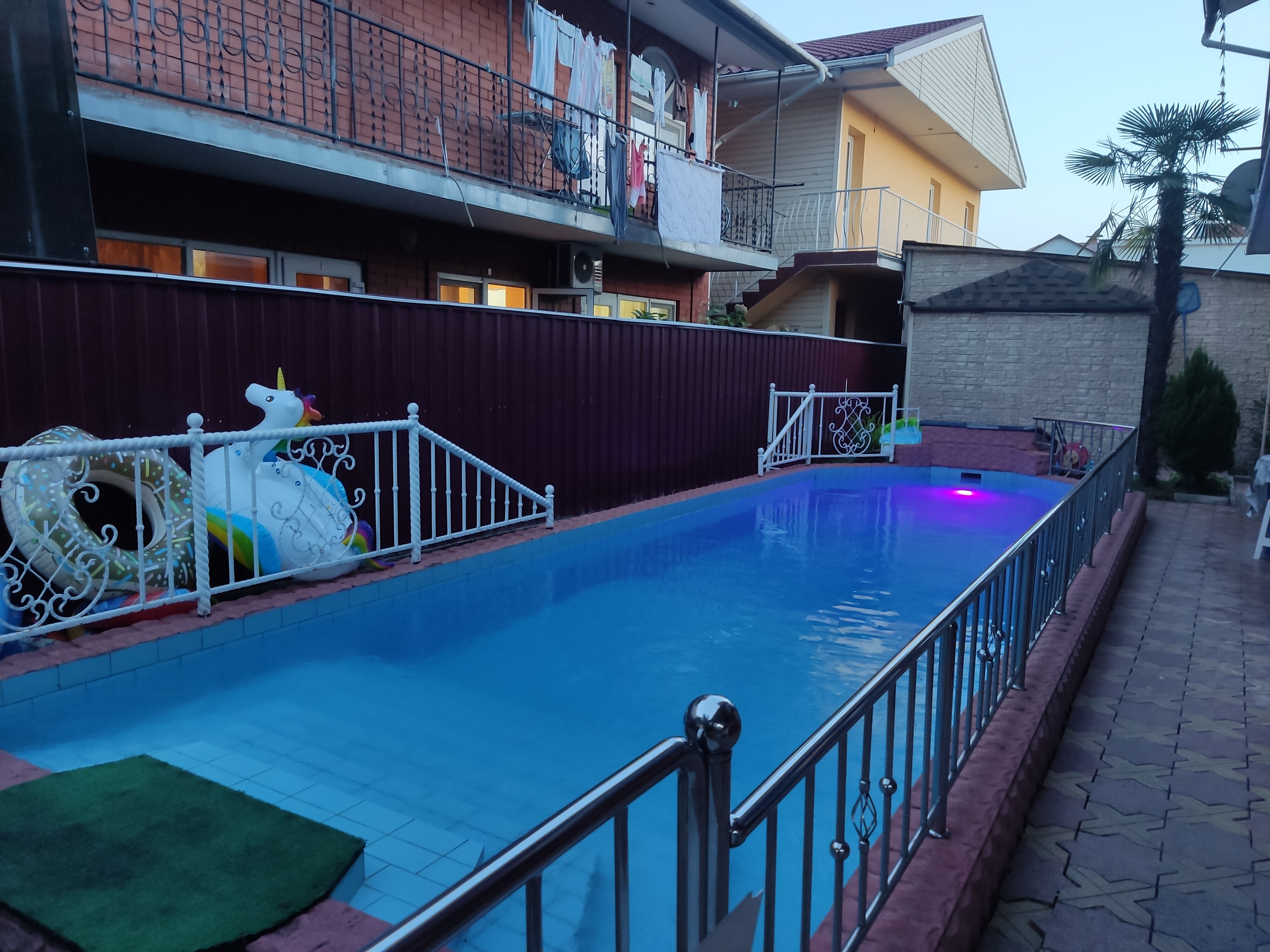 Фото Камелия