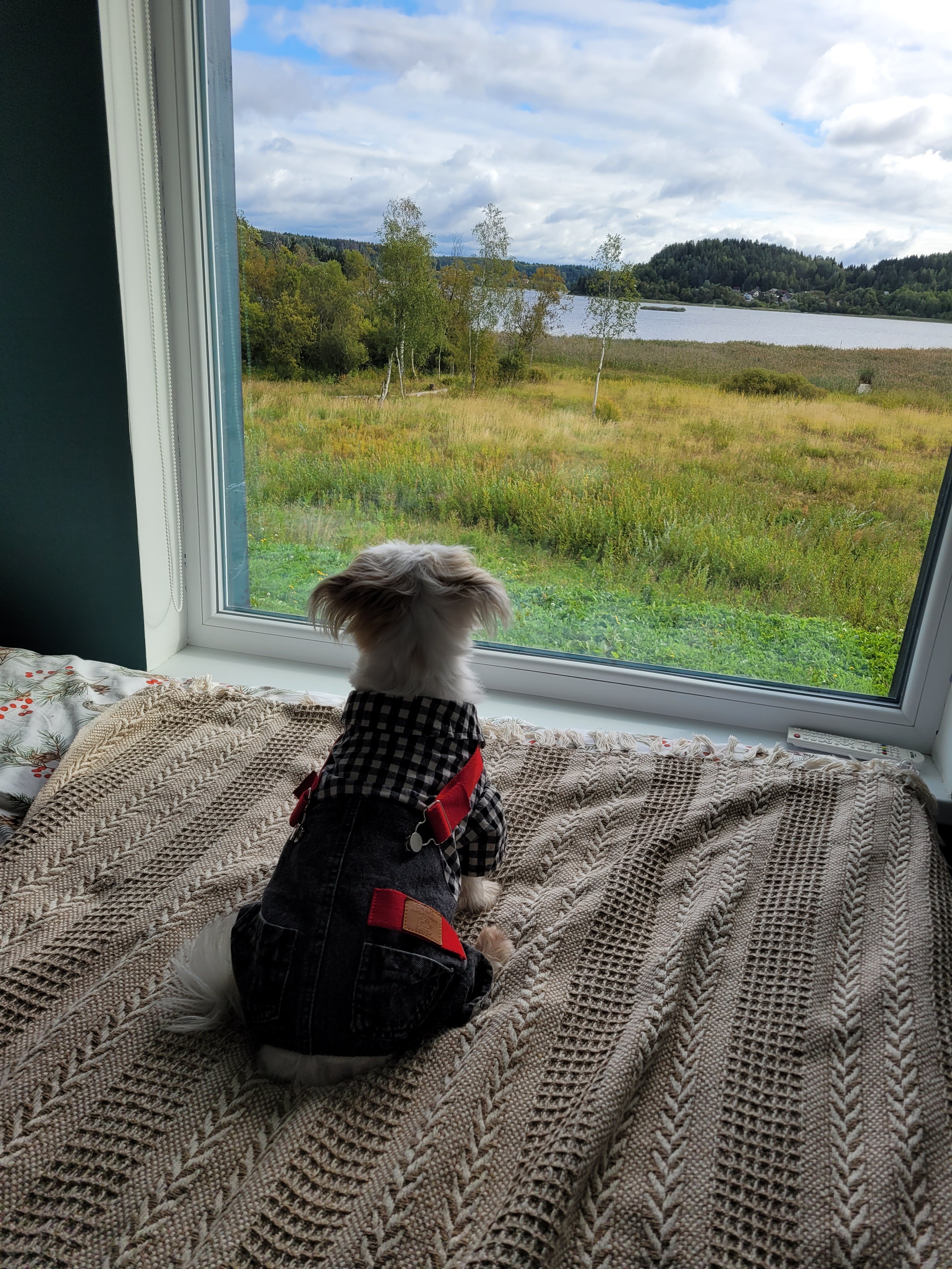 Фото Karelia shum off