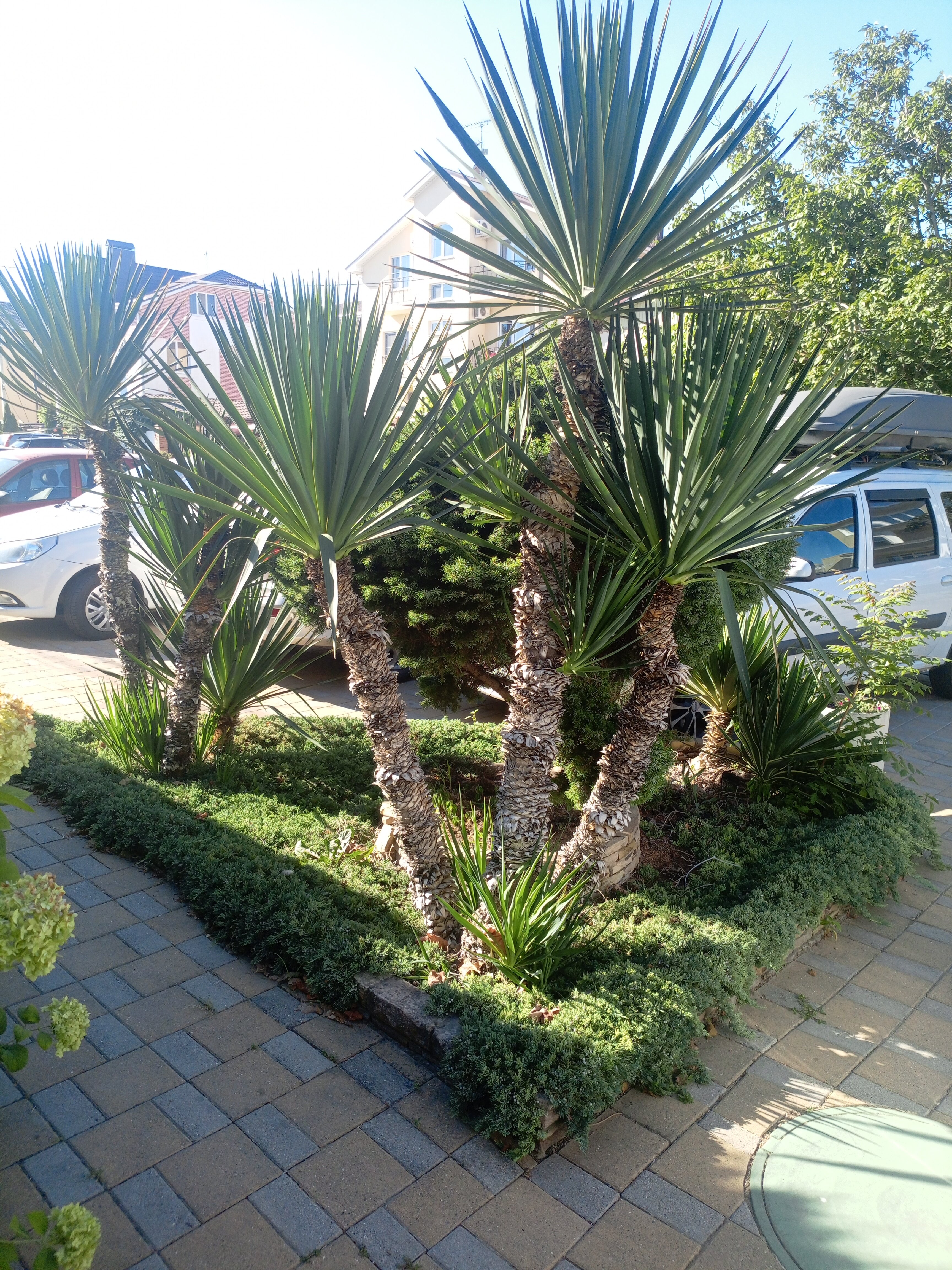 Фото Дарья +