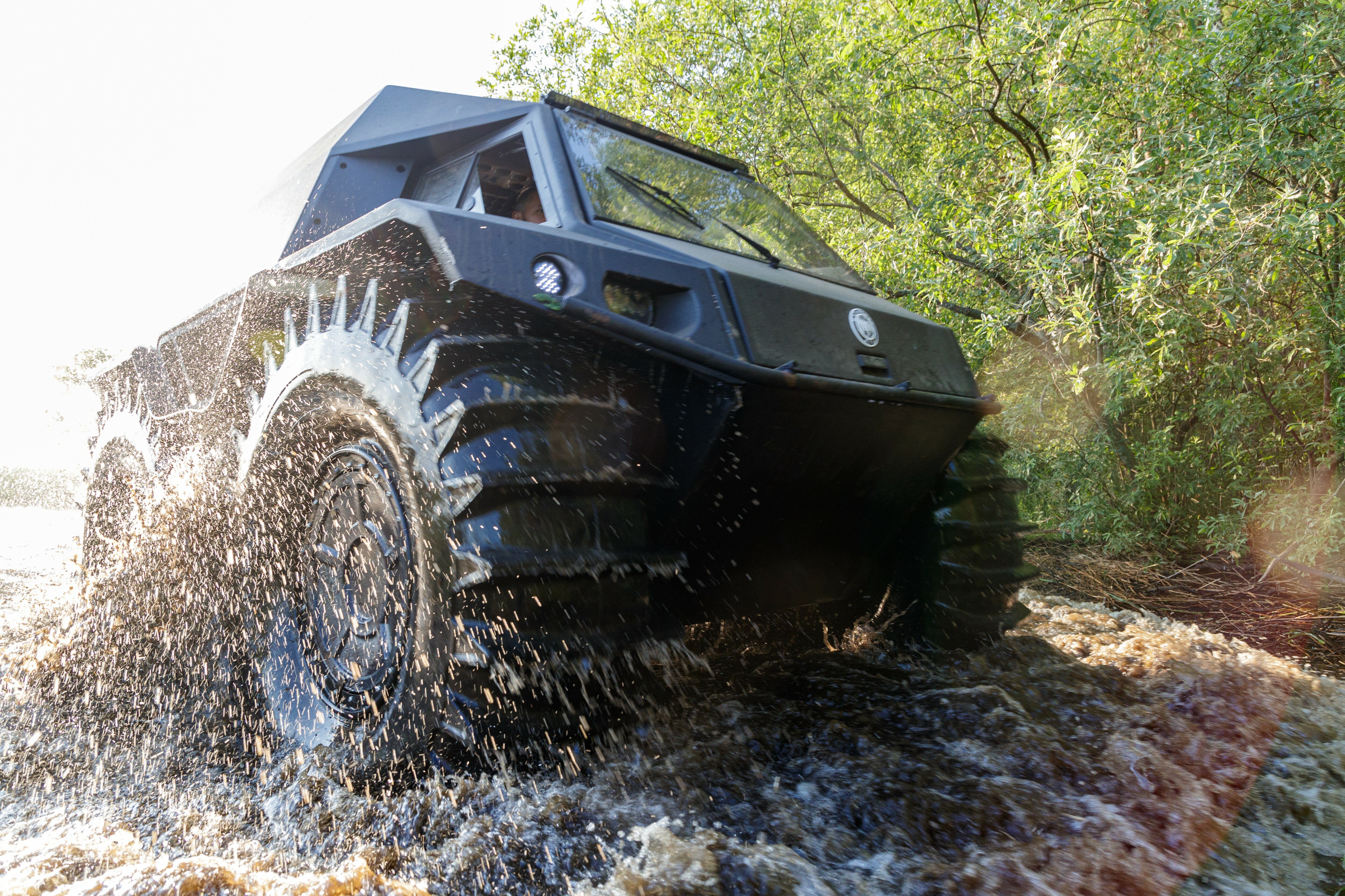 Фото Берег Мологи