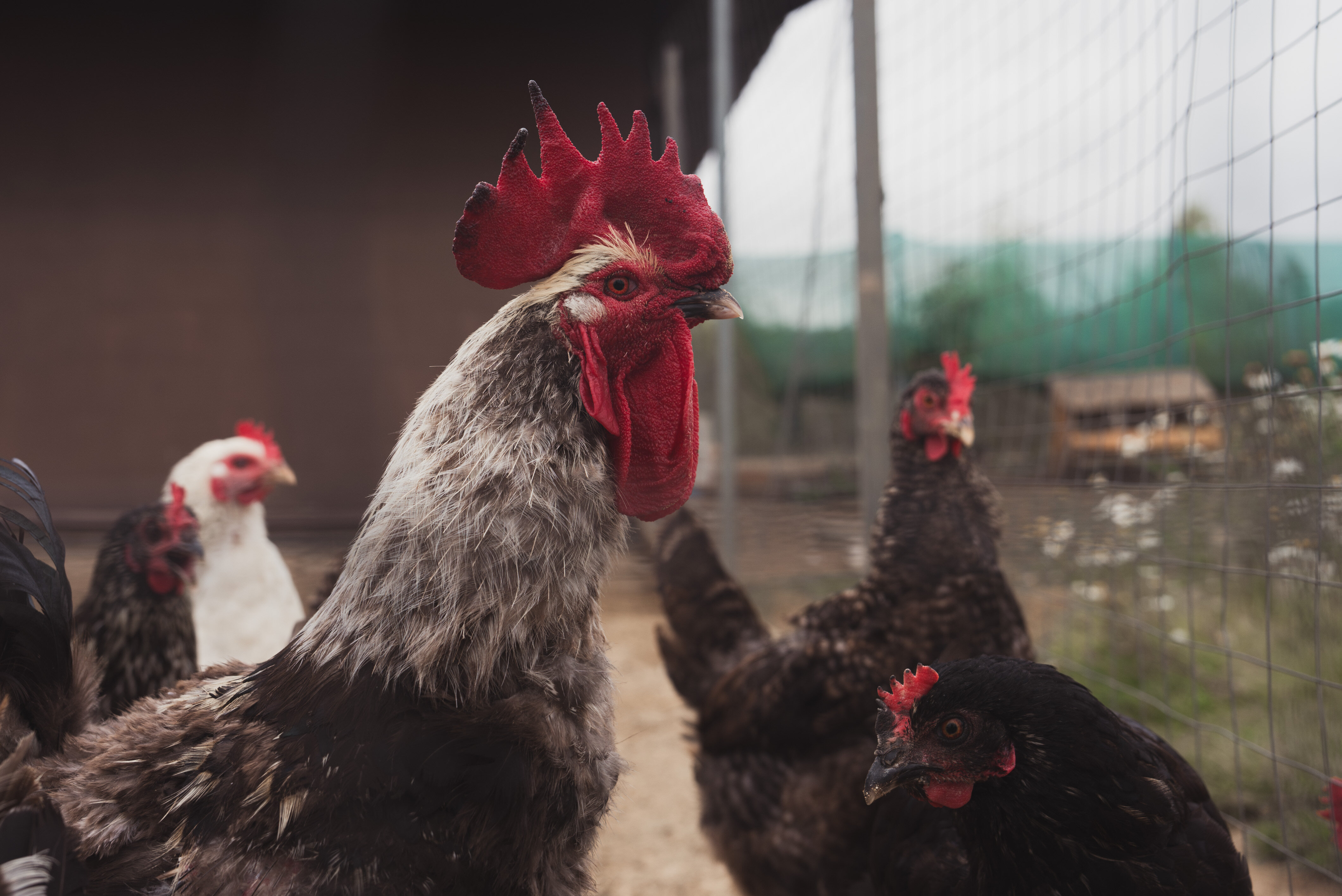 Фото Загородный клуб Ранчо.рф